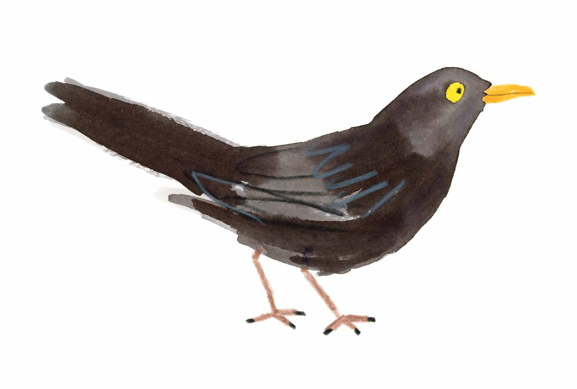 Blackbird Original 4 online.jpg