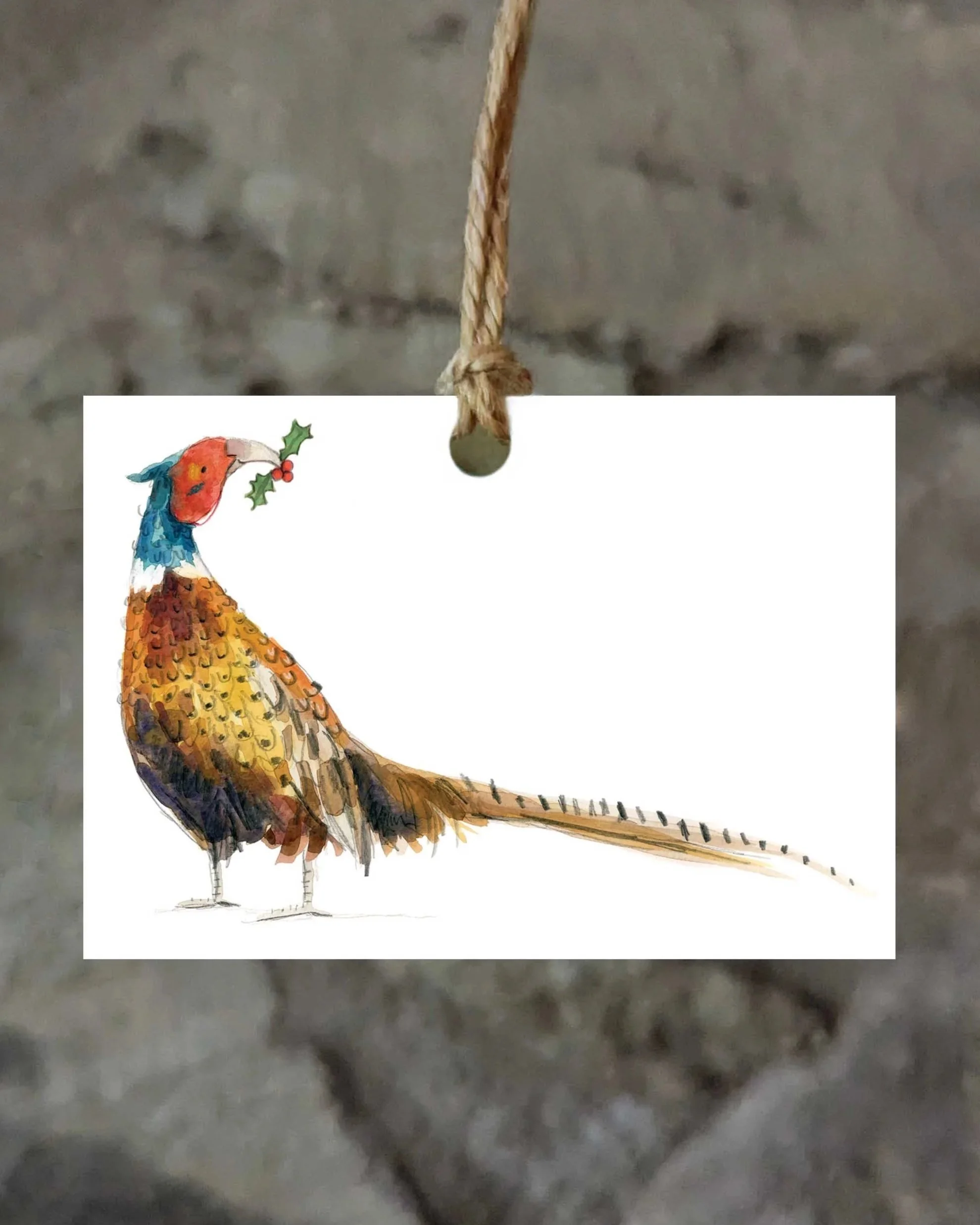 pheasant+tag+front+2024+online.jpg
