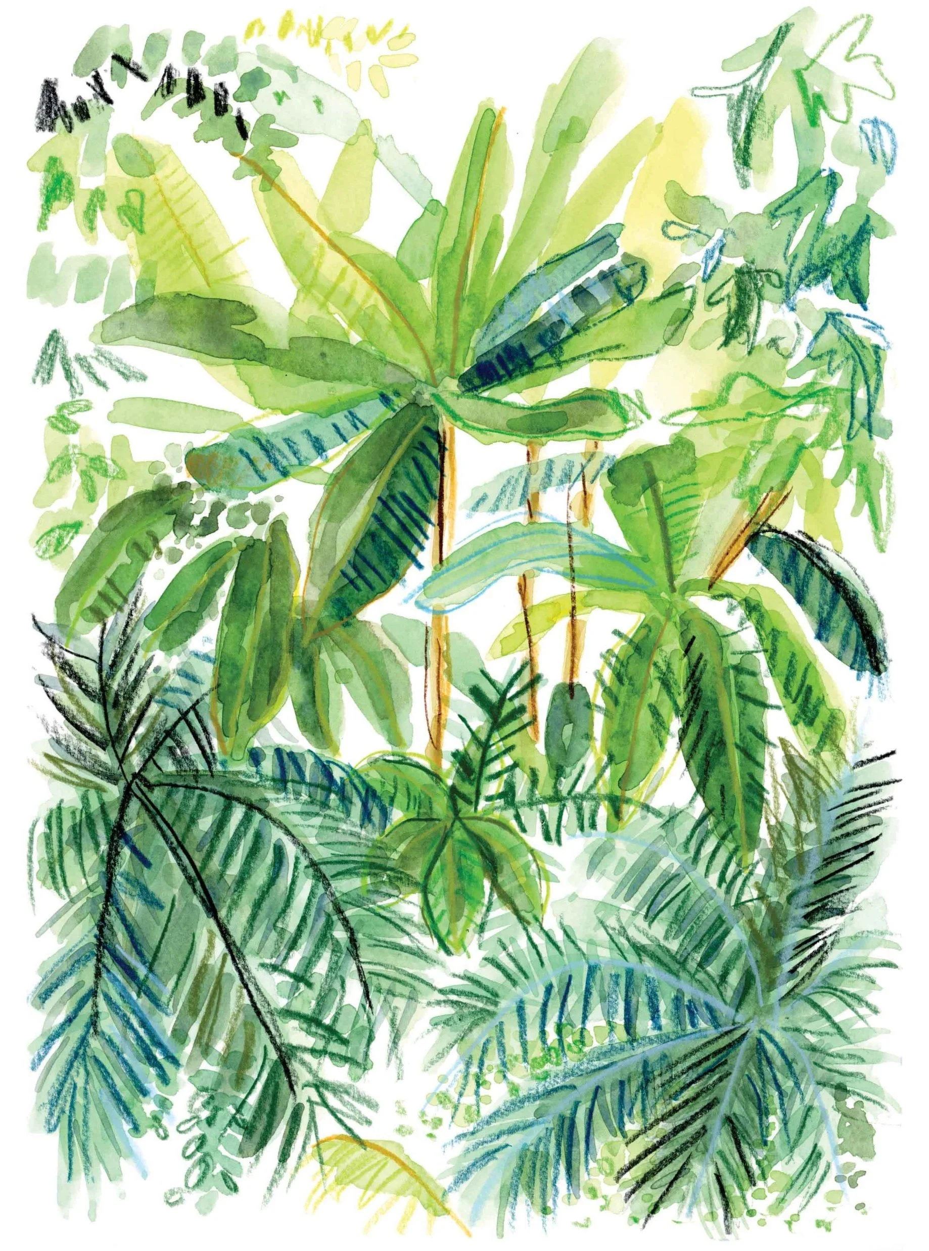Botanic+2+online.jpg