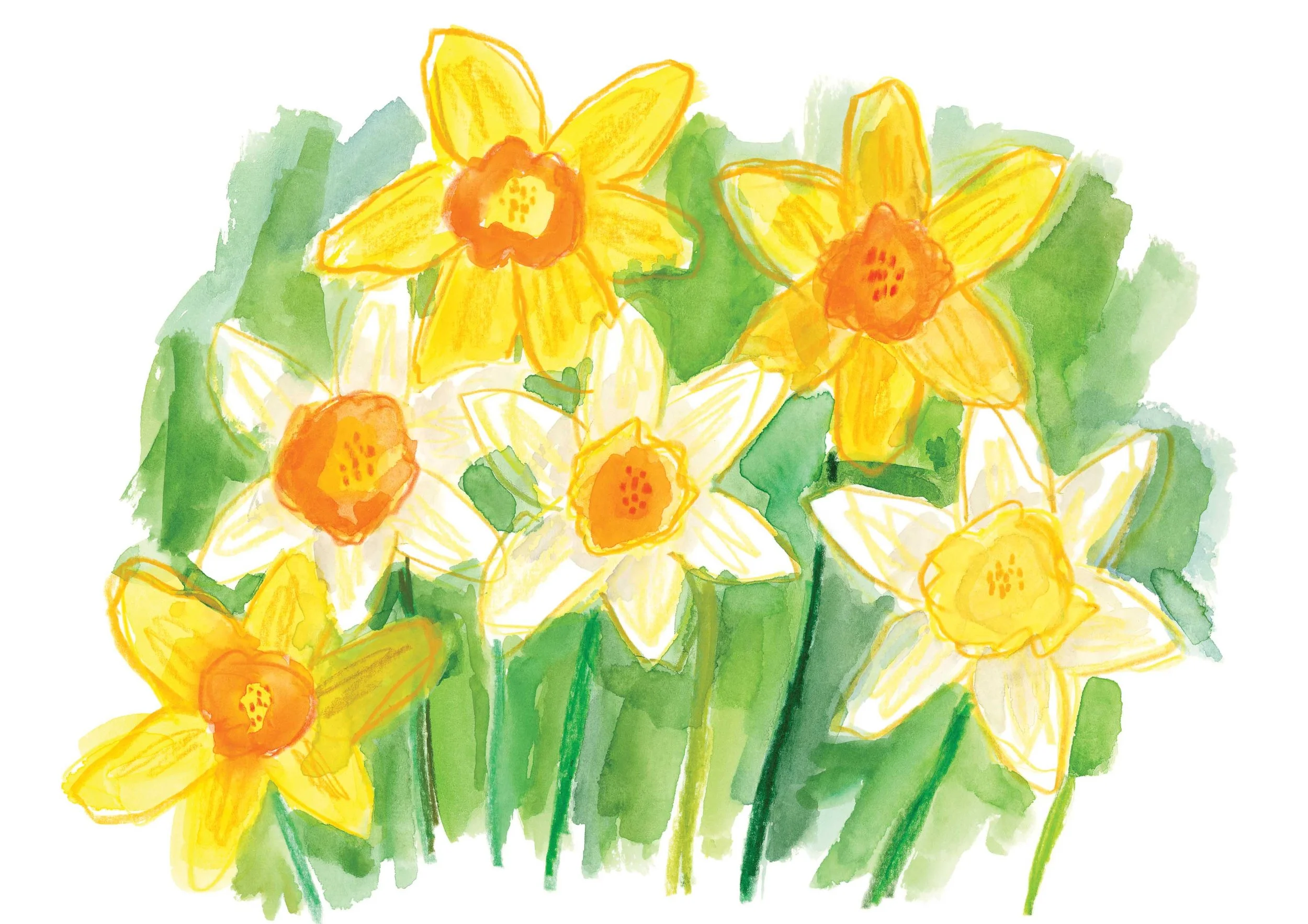 Daffodils Original 5 online.jpg