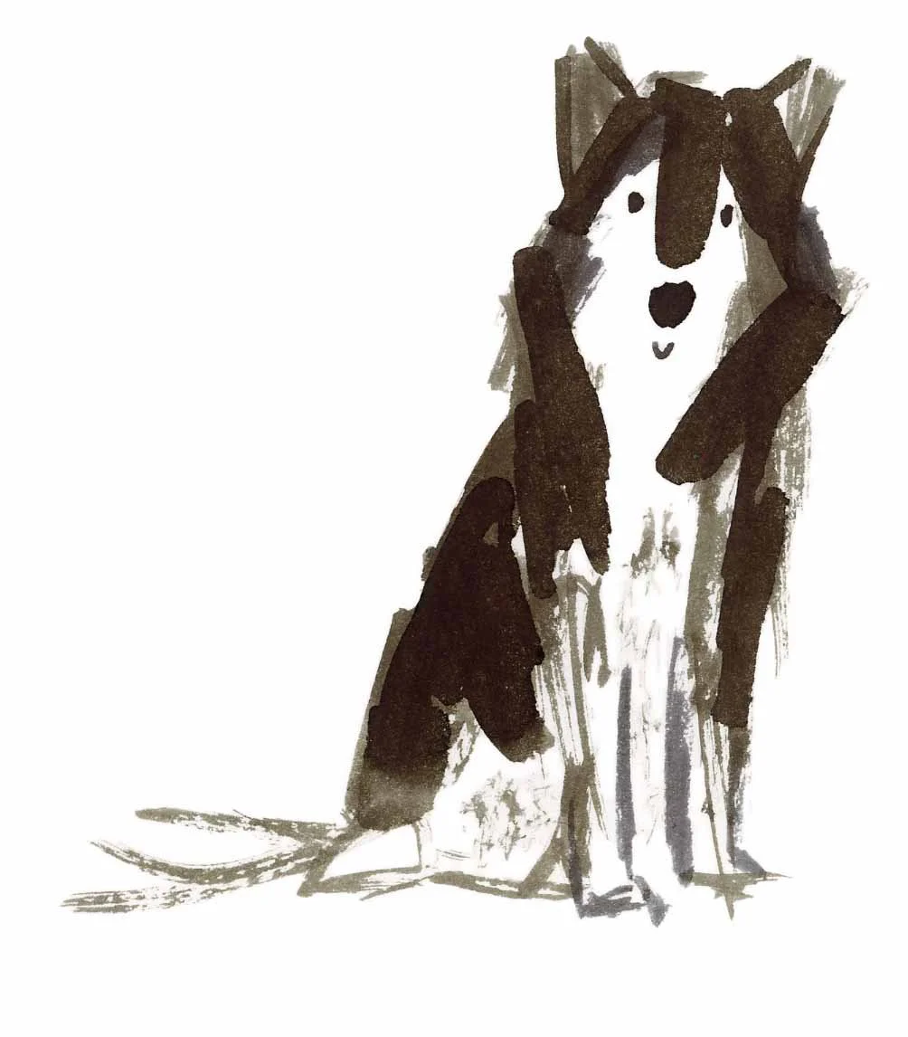 Husky 2 online.jpg