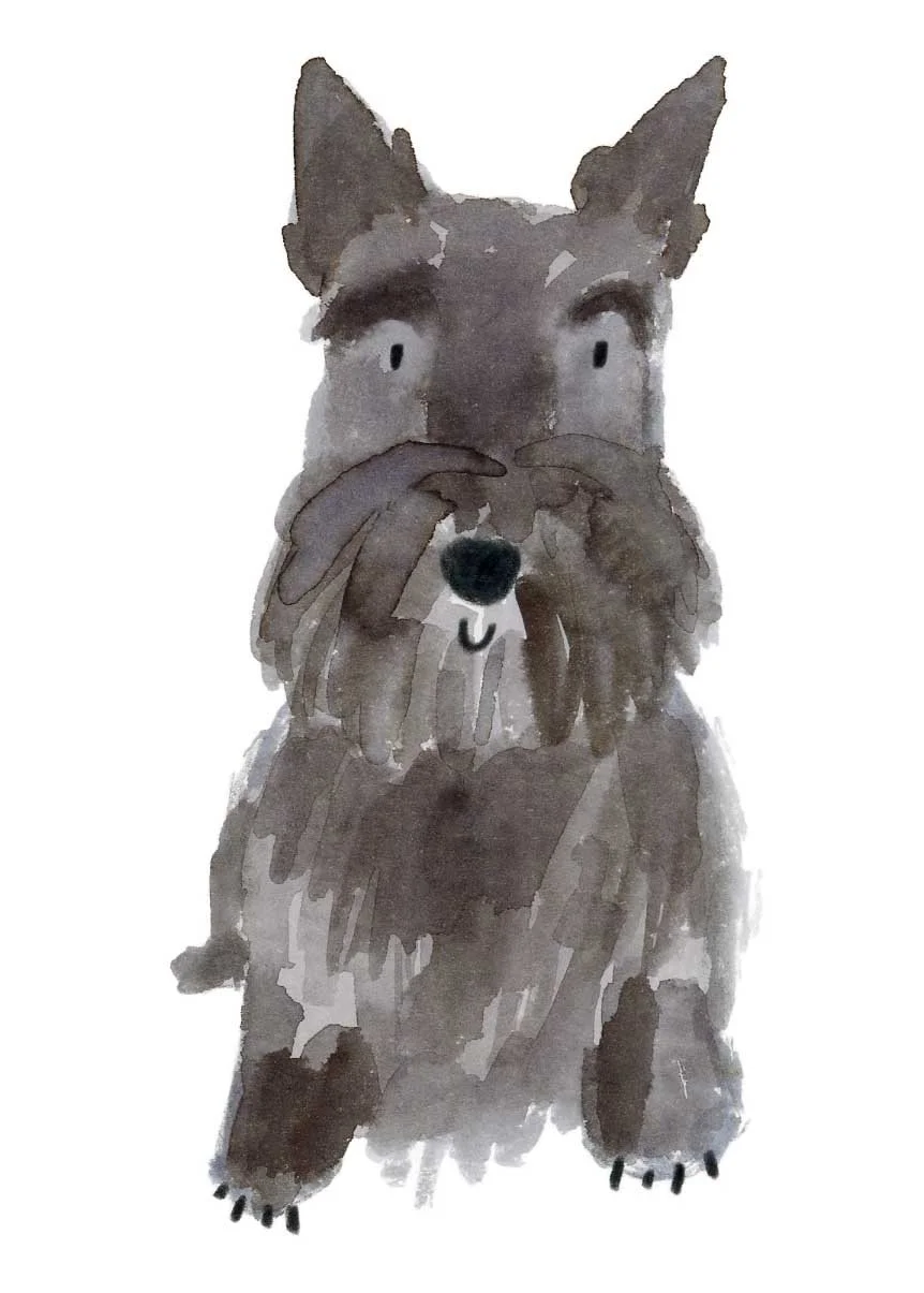 Black Scottish Terrier 1 online.jpg