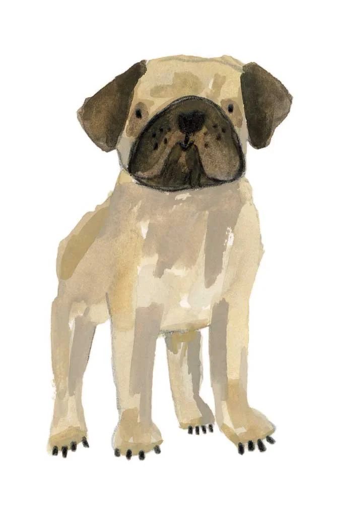 Baby Pug Original 1 online.jpg