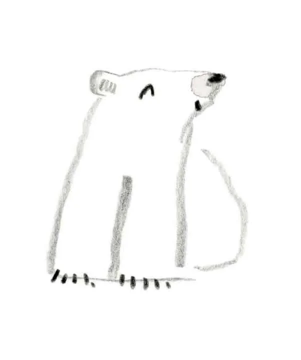 Polar Bear Baby 4 online.jpg