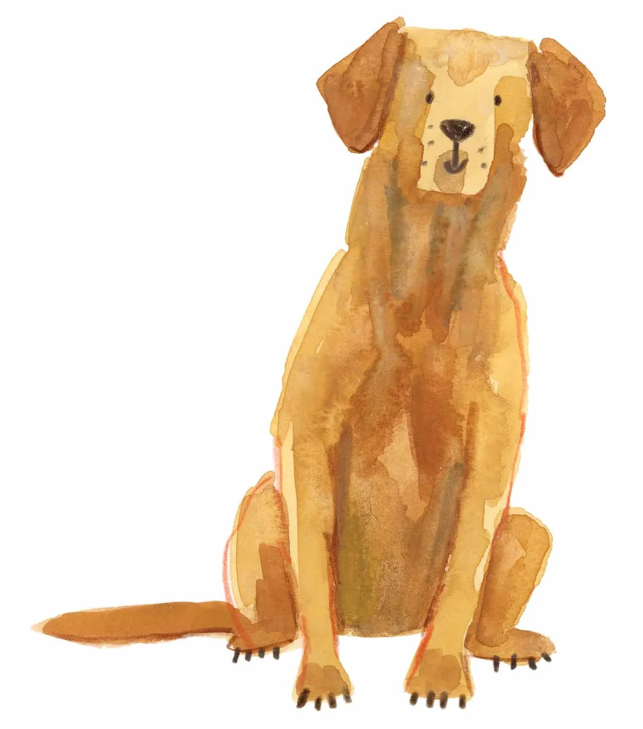 fox red lab original online.jpg