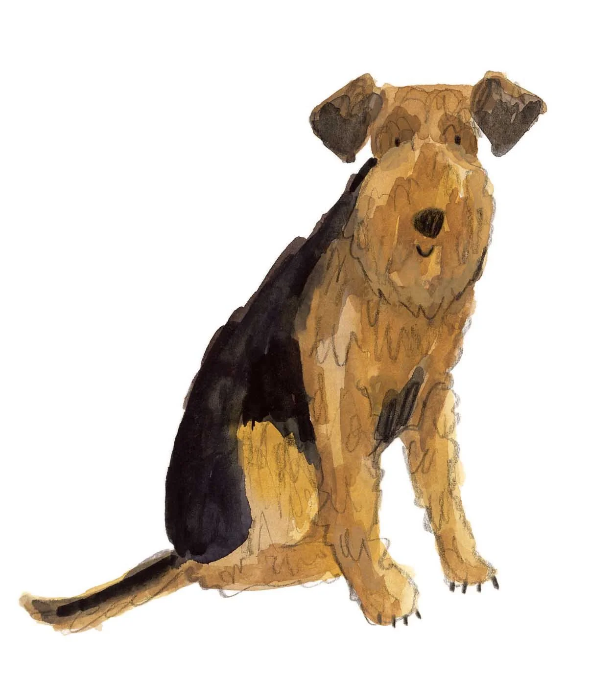Airedale Terrier Original 1 online.jpg