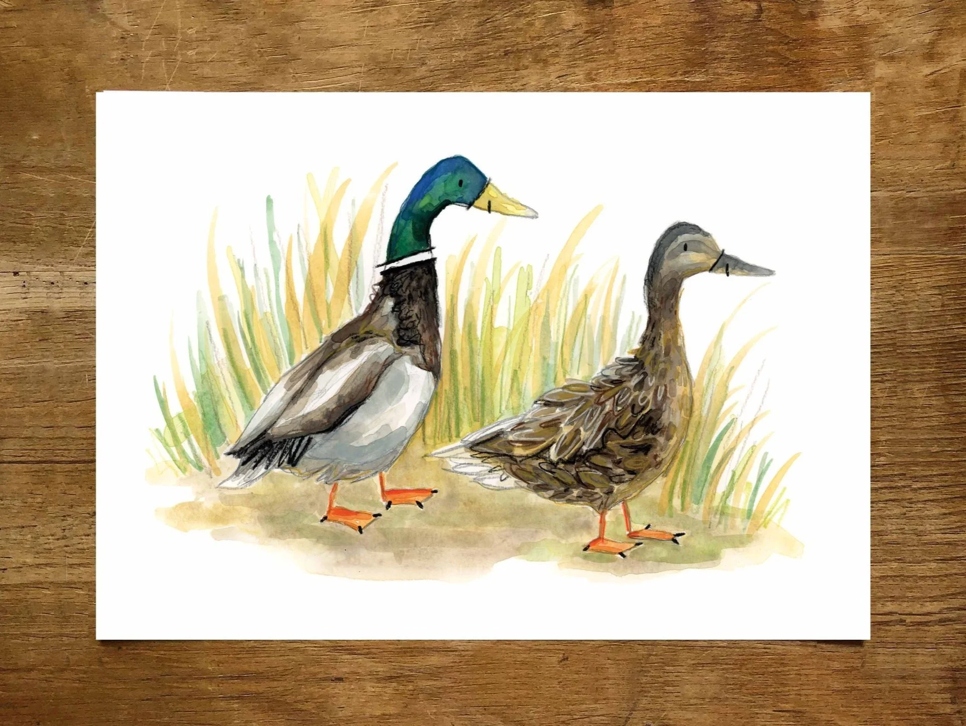 Mallards+print+promo.jpg