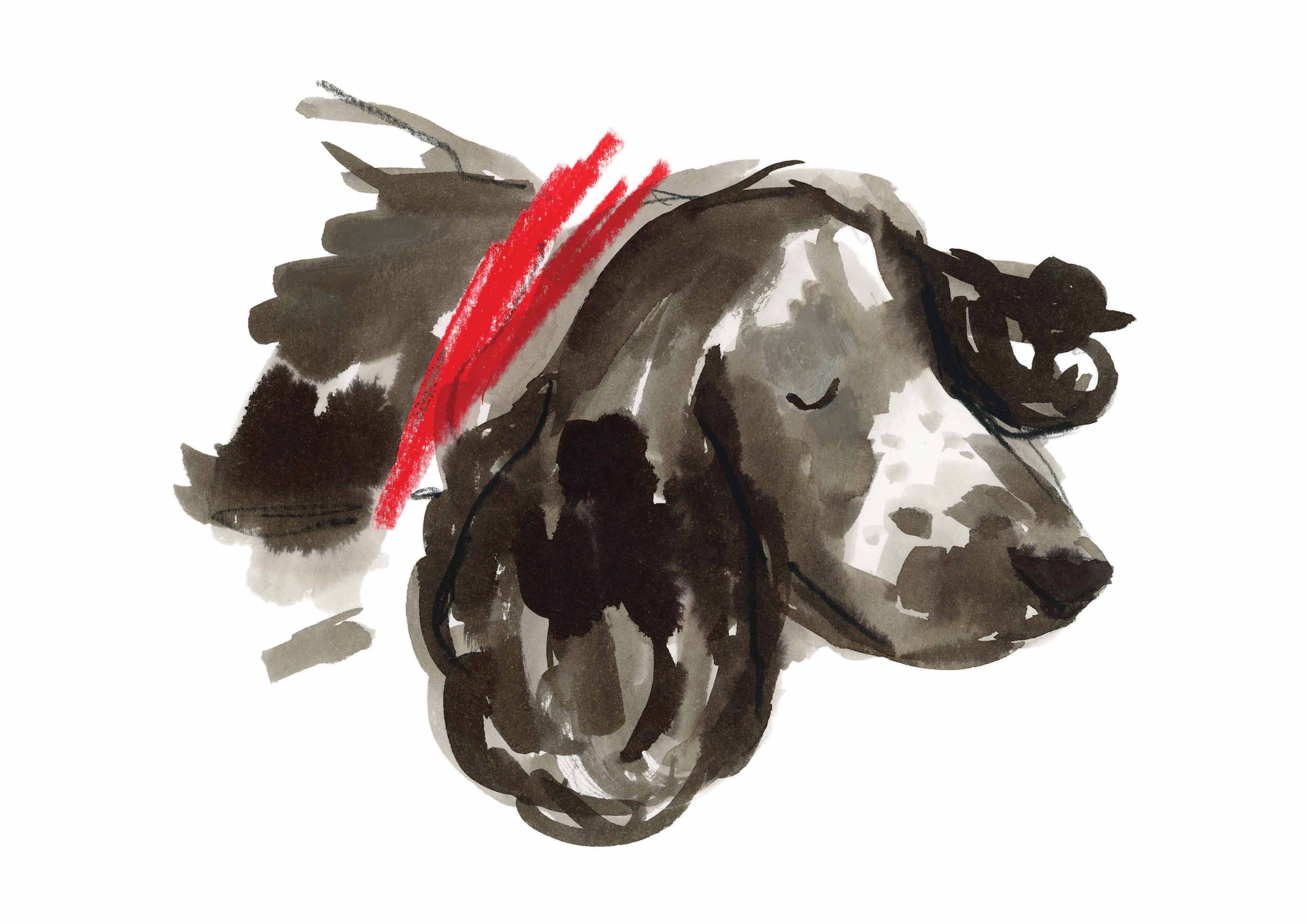 Frida Pup Sleeping Print online.jpg
