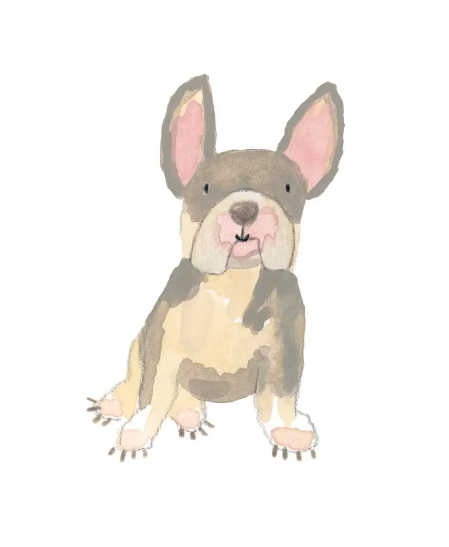 Frenchie original 1 online.jpg
