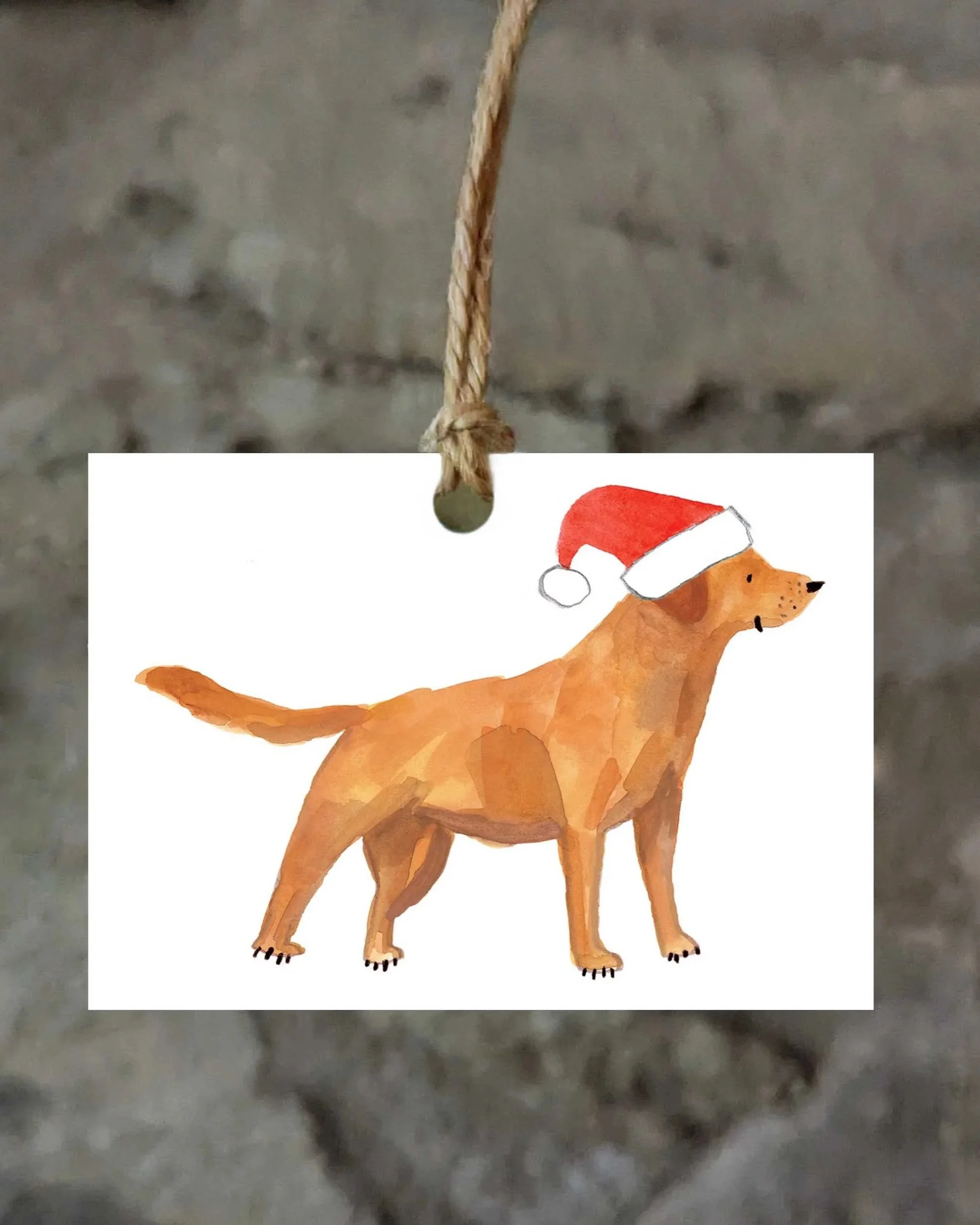 Fox+Red+lab+xmas+tag+front+1+online.jpg
