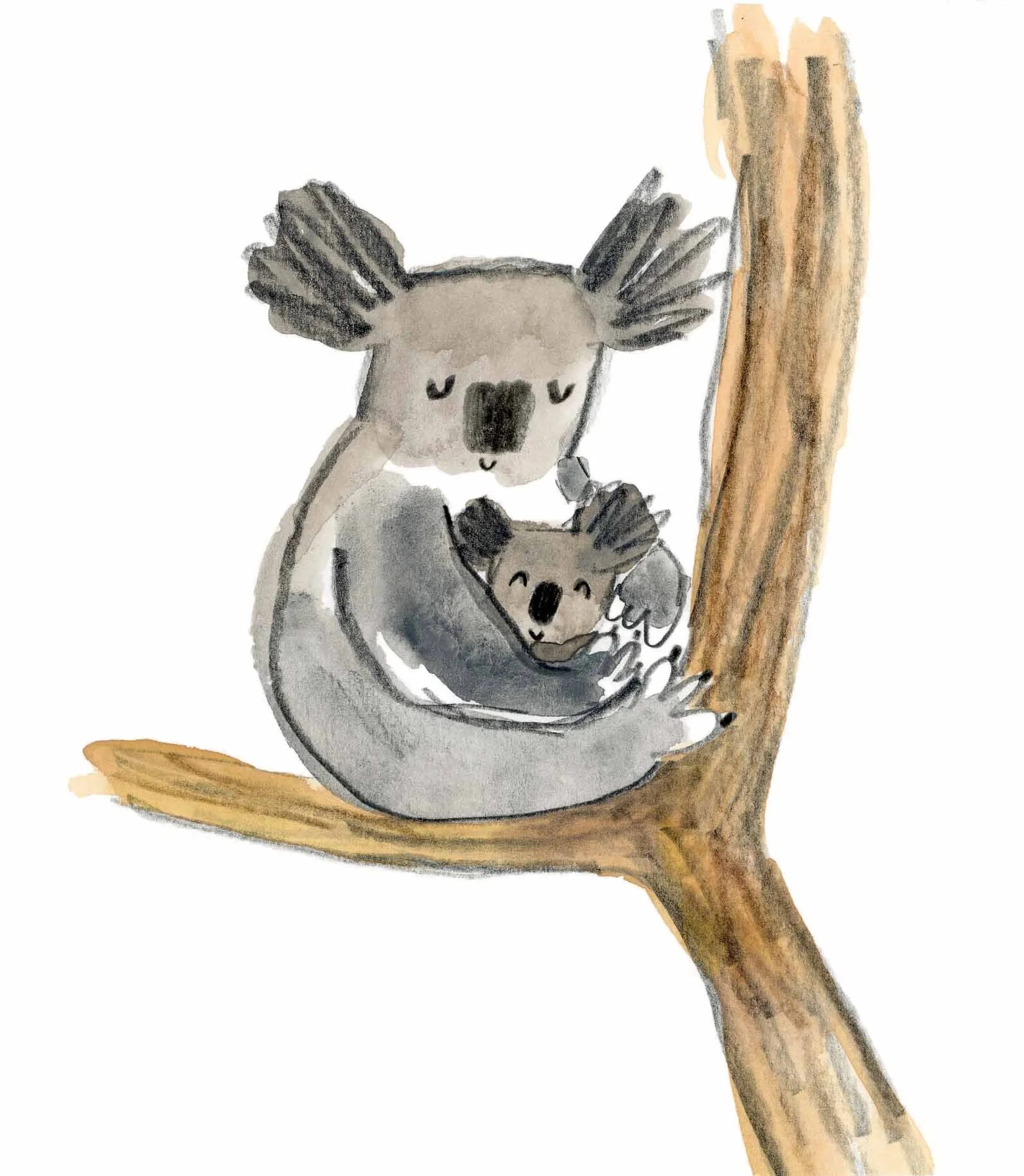 Koala Mum 3 online.jpg