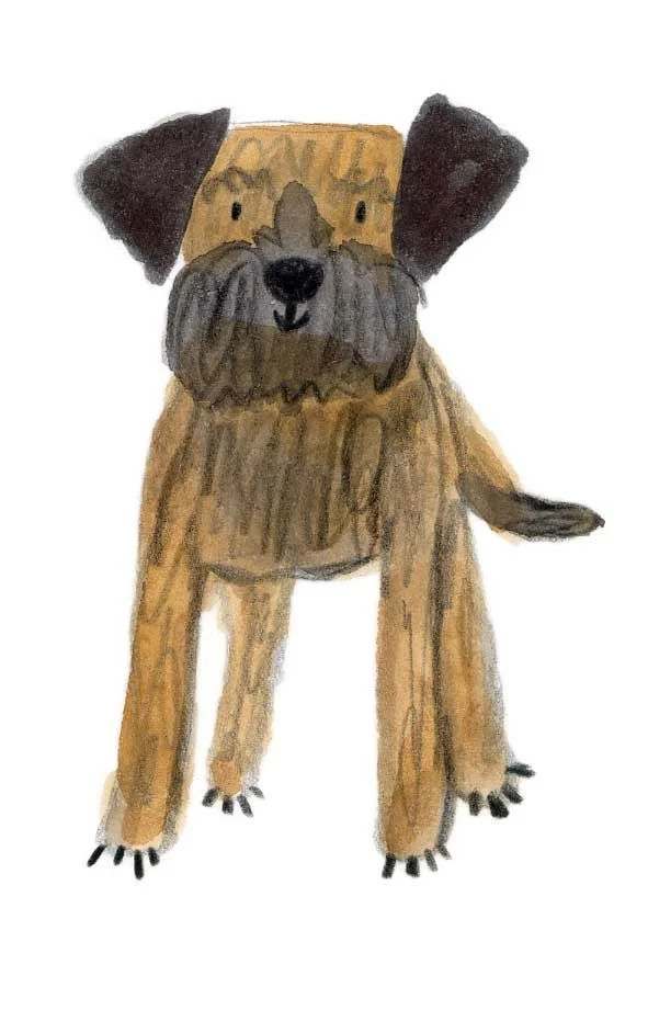 Border Terrier 1 online.jpg
