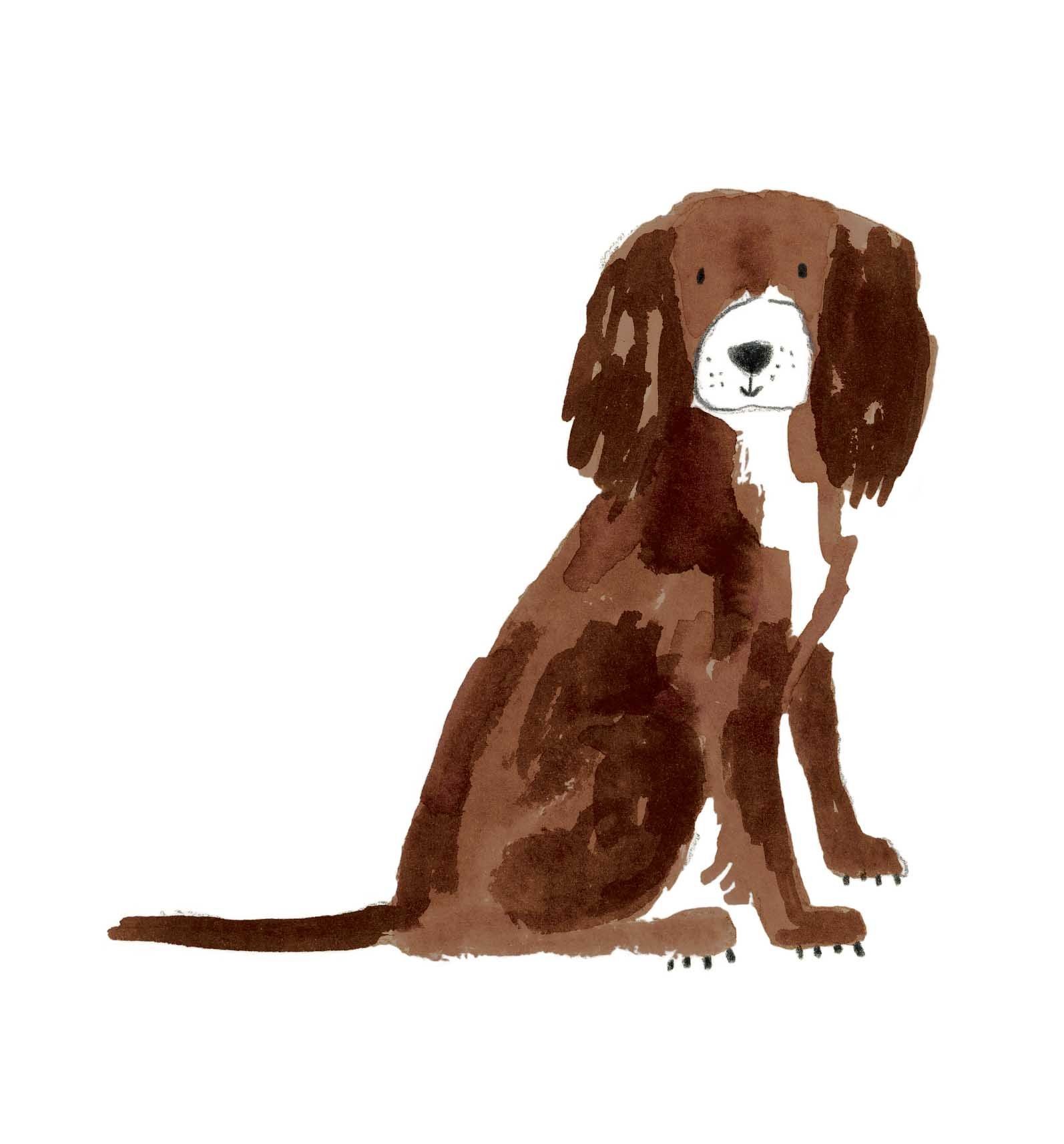 Brown+W working cocker 1 print online.jpg