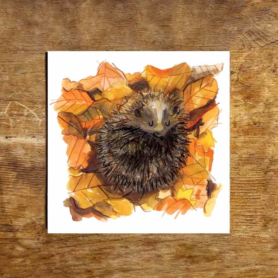 G+O%27Neill-+Hedgehog+Print.jpg