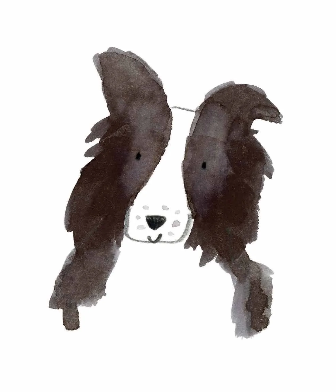 Collie Original 7 online.jpg