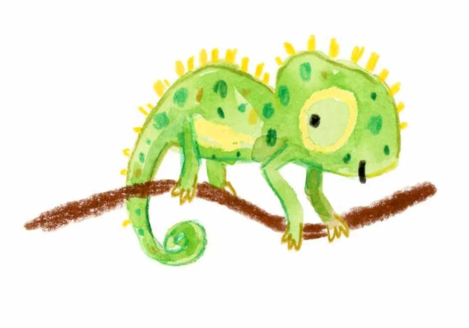 Baby chameleon 1 online.jpg
