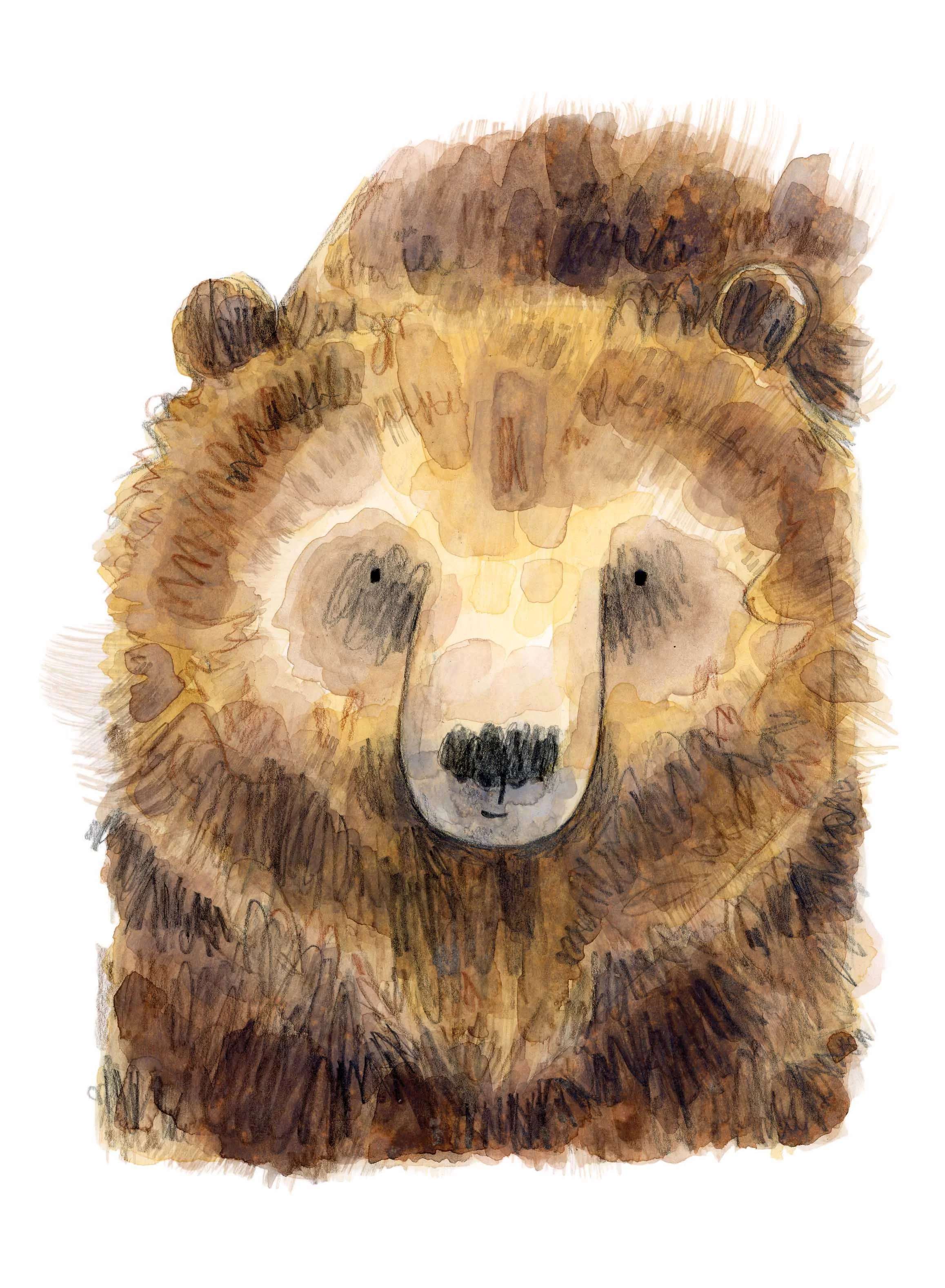 Grizzly bear 1 online.jpg