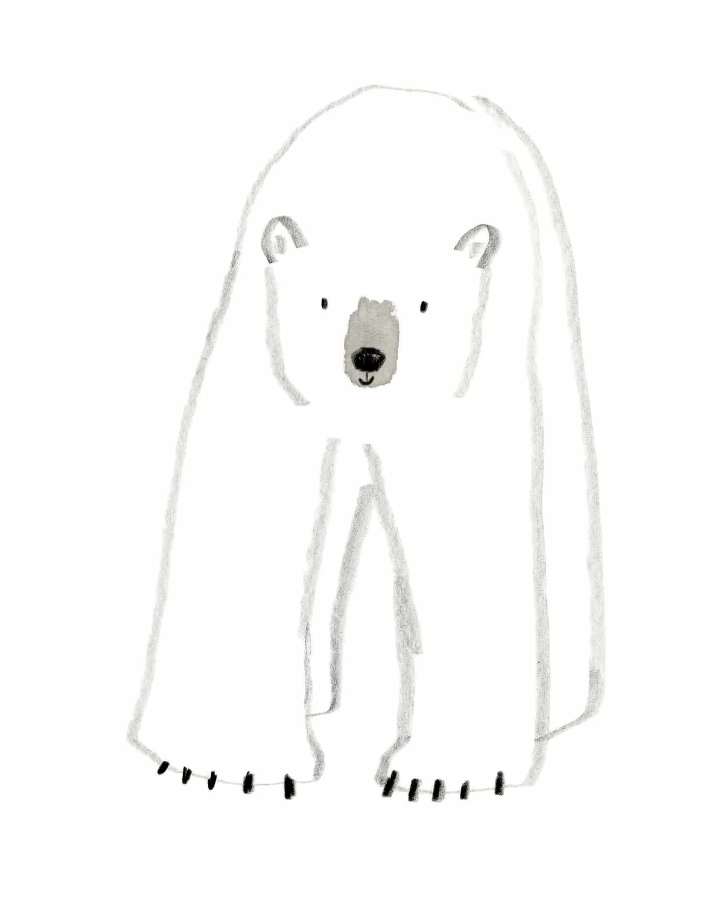 Polar Bear Sketch 2 online.jpg