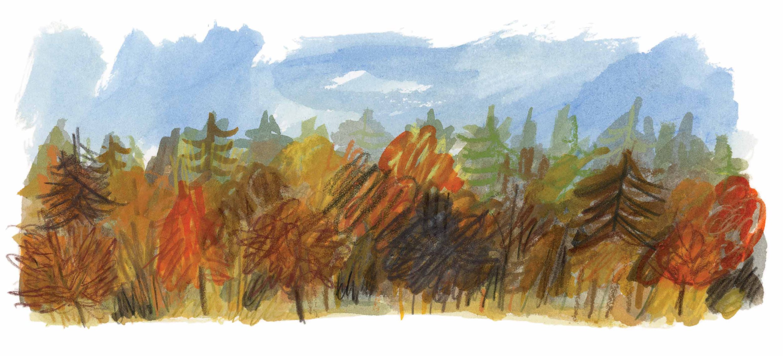 Autumn Scene 1 online.jpg