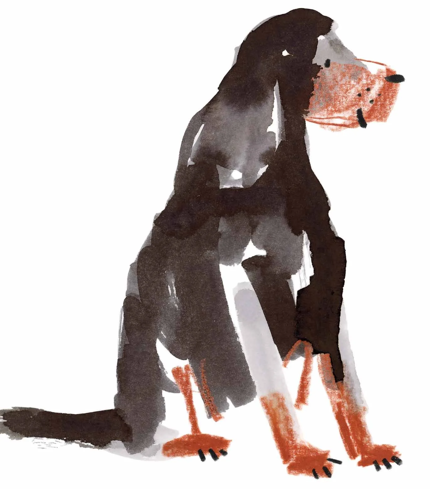 Gordon Setter 5 online.jpg