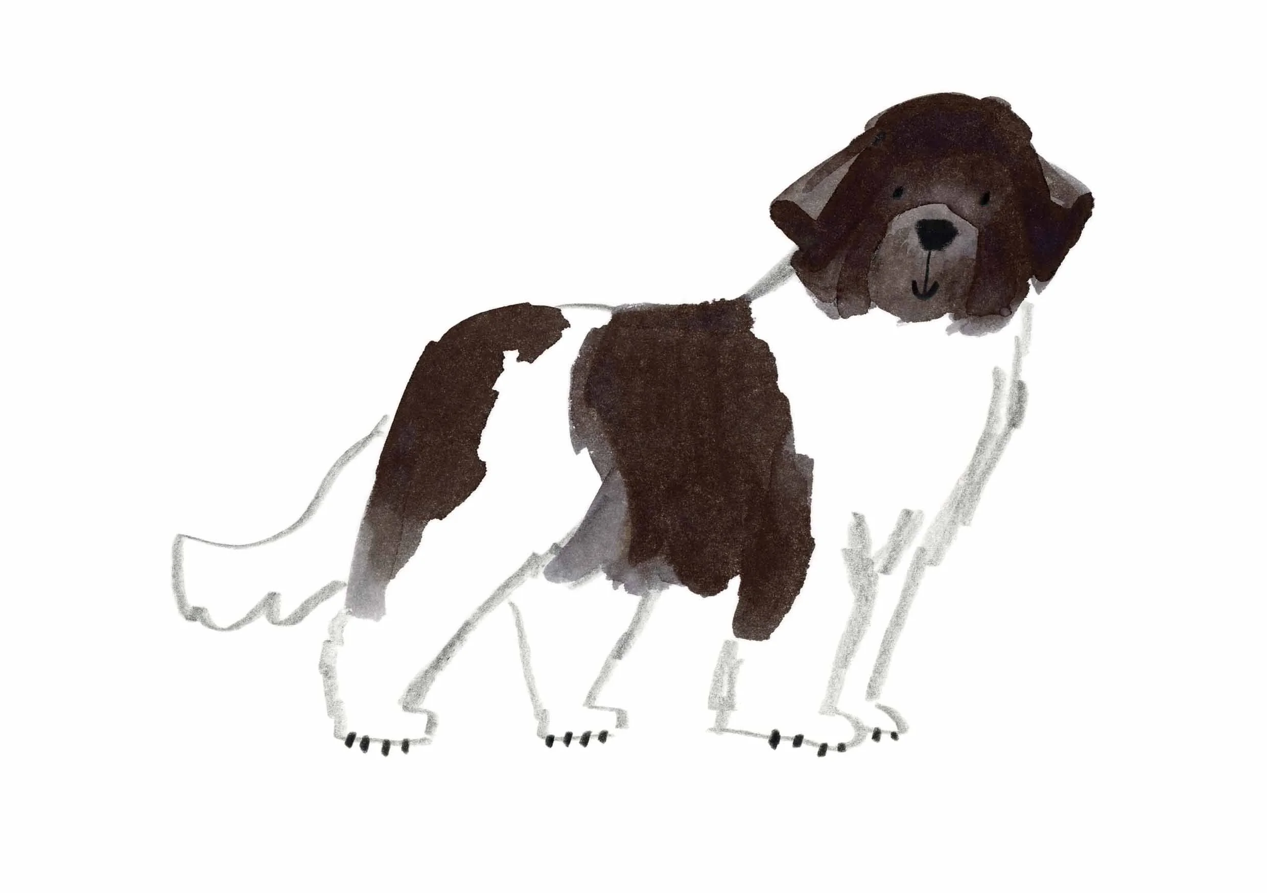 Newfoundland Print 1 online.jpg