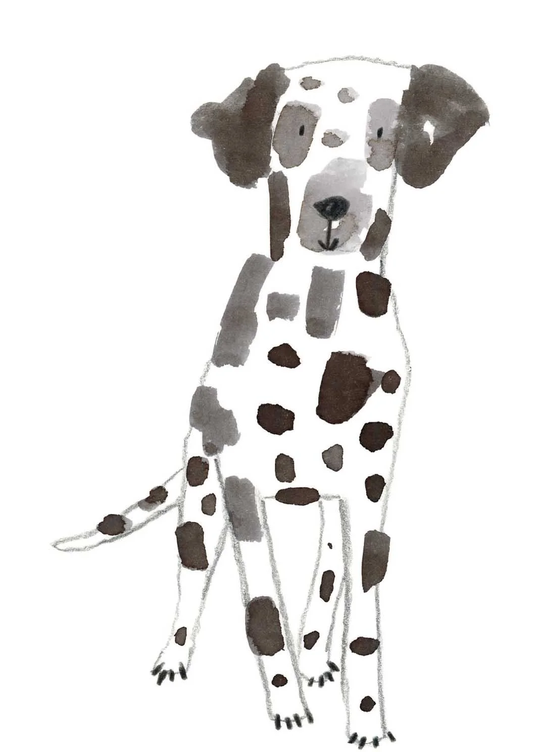 Dalmation 4 online.jpg