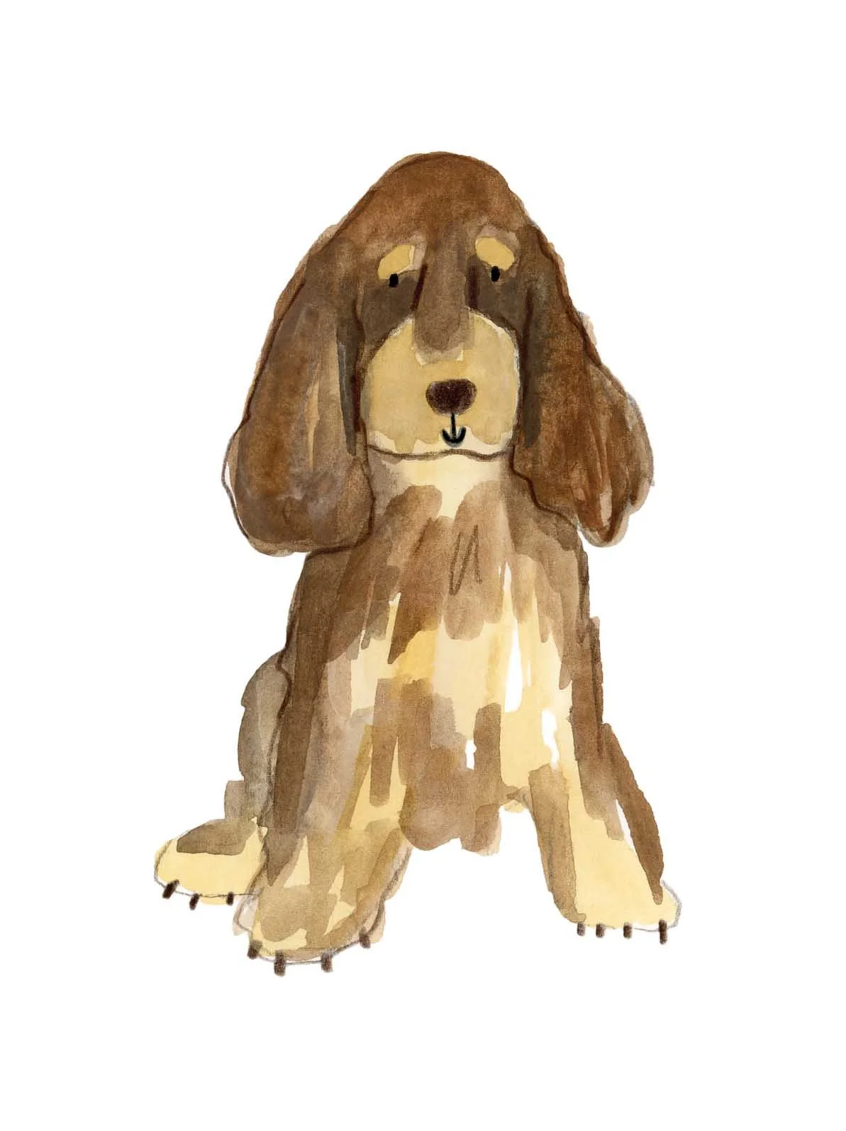 Brown and Tan cocker online.jpg