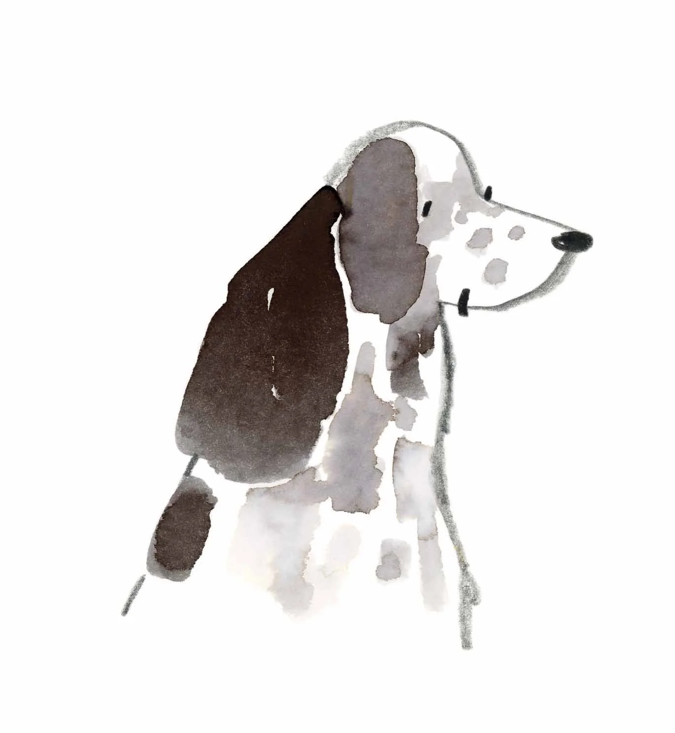Blue Roan original 4 online.jpg