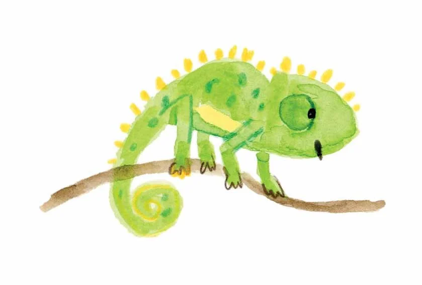 Chameleon 4 online.jpg