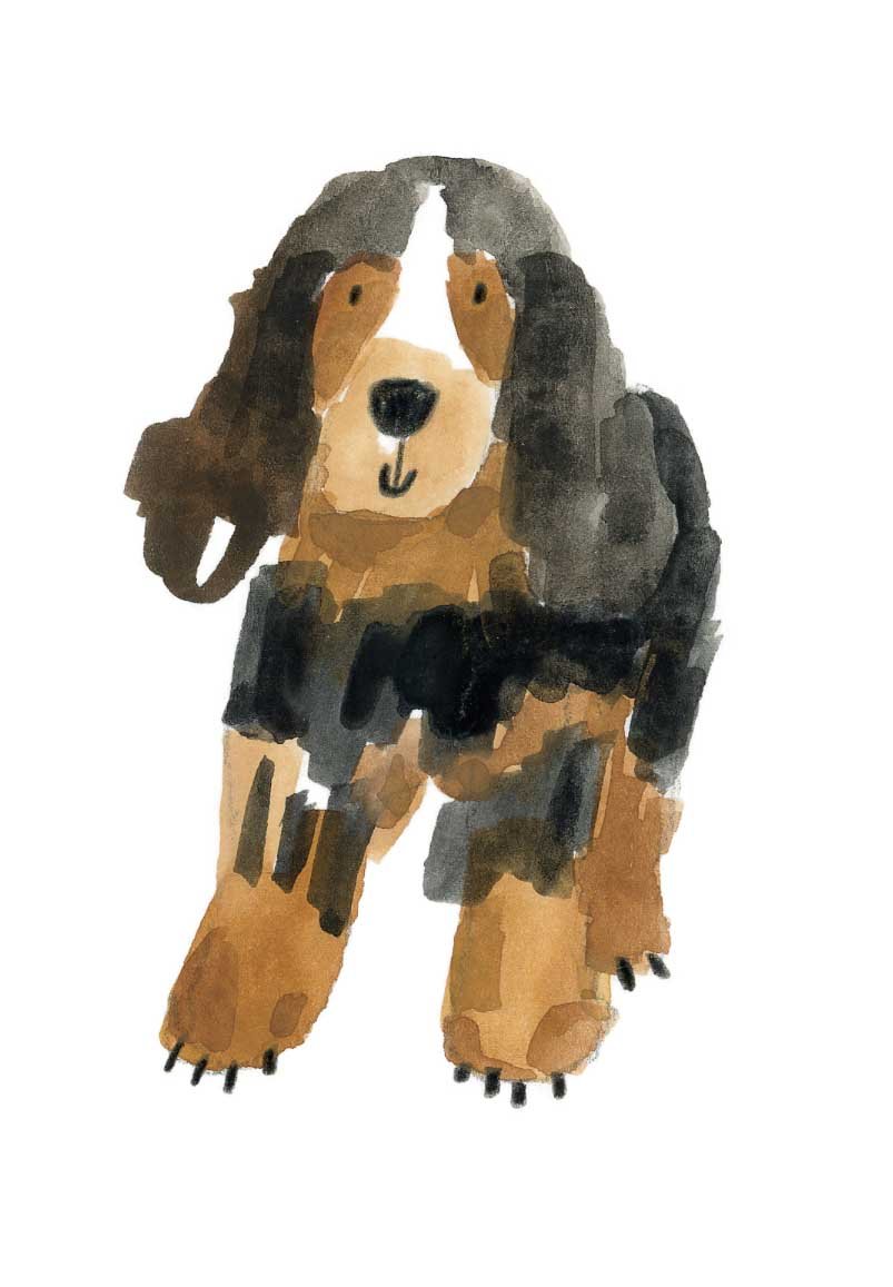 Black Sable Cocker 1 online.jpg