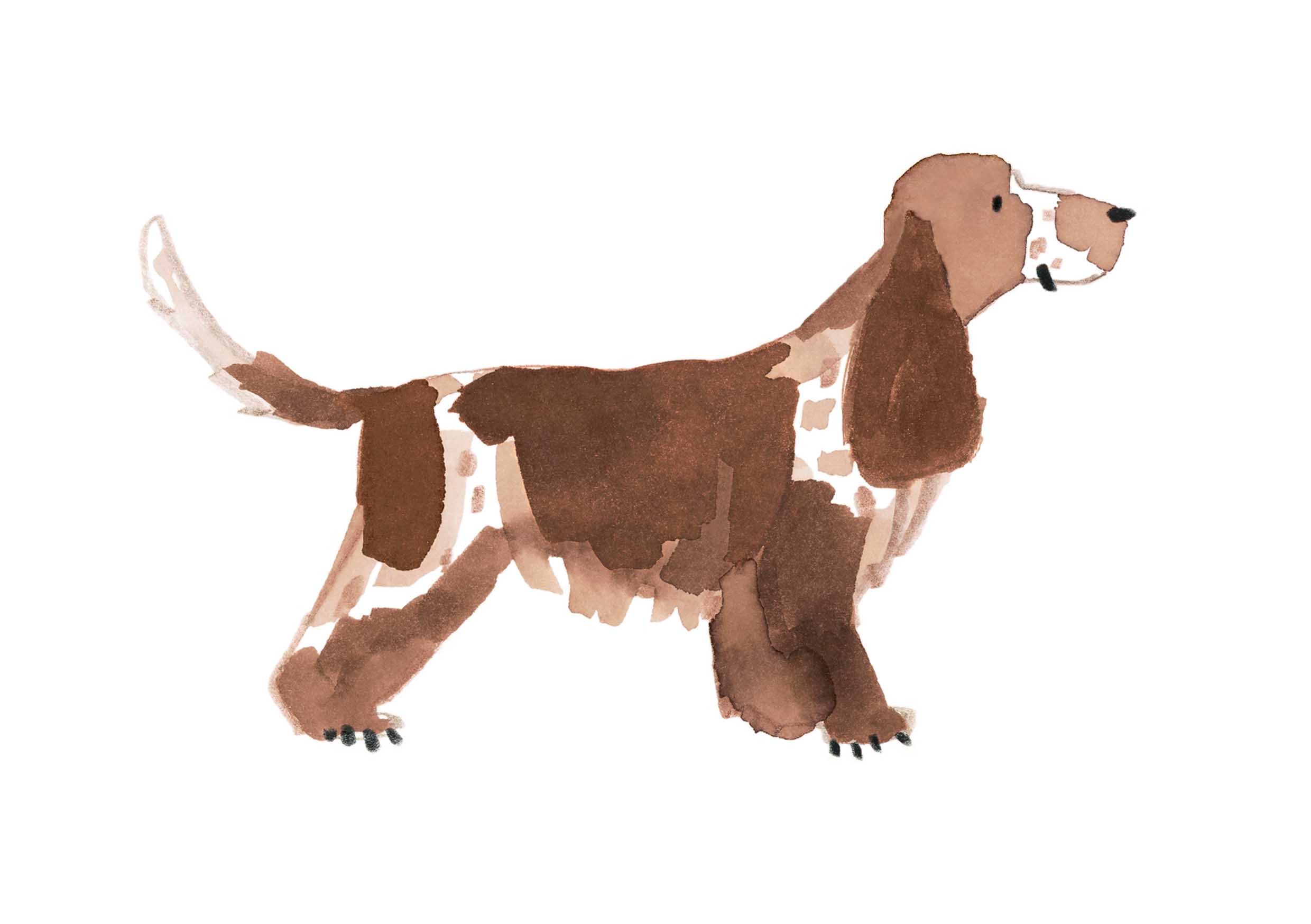 Liver Roan Print 1 online.jpg