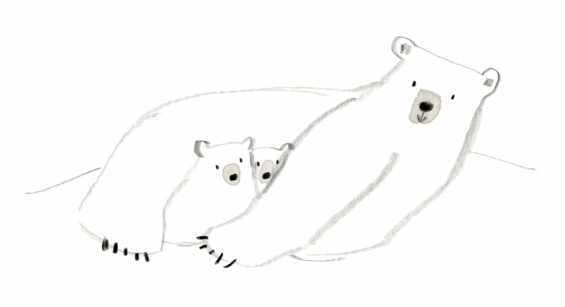 polar bear mum sketch 2 online.jpg