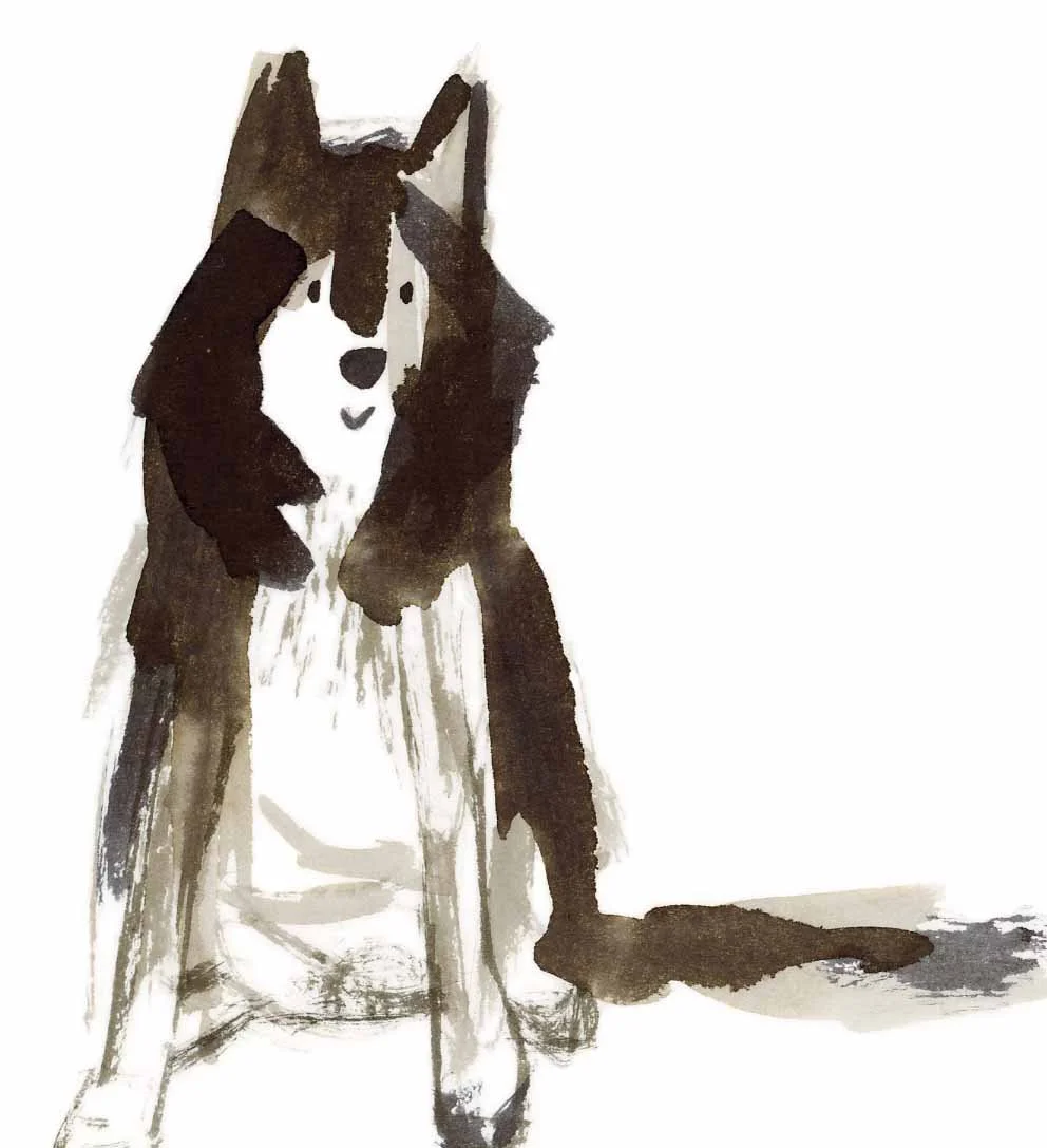 Husky 5 online.jpg