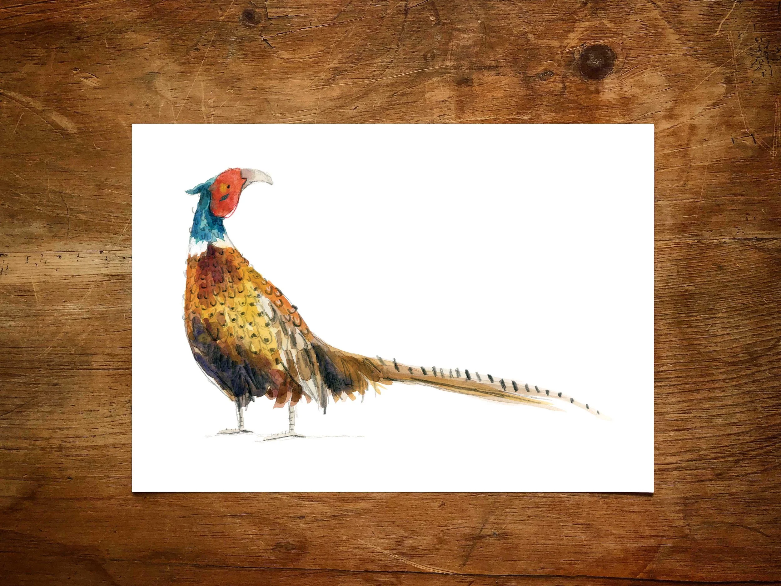 a5 pheasant original etsy online.jpg