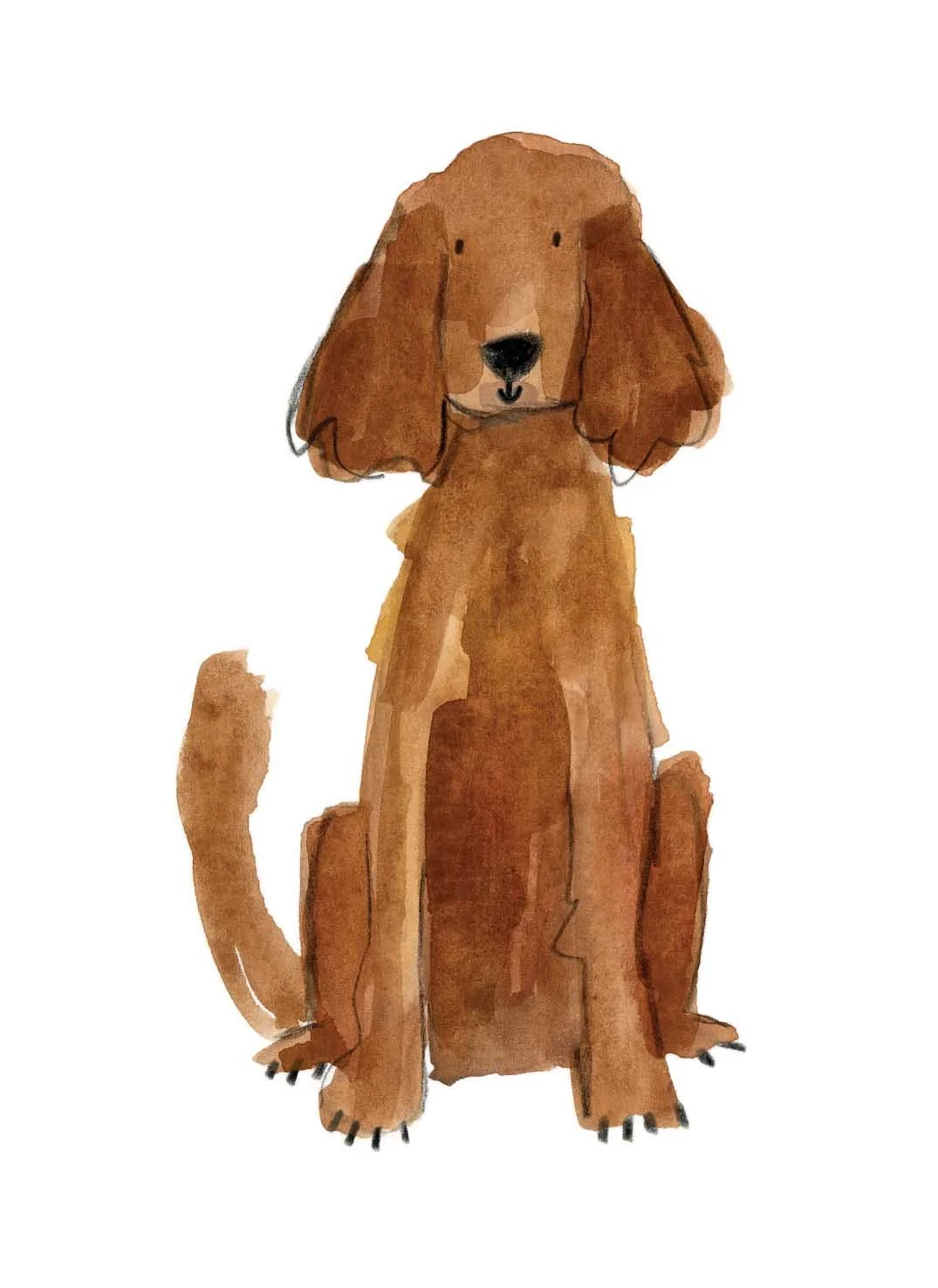 Red Irish Setter 1 online.jpg