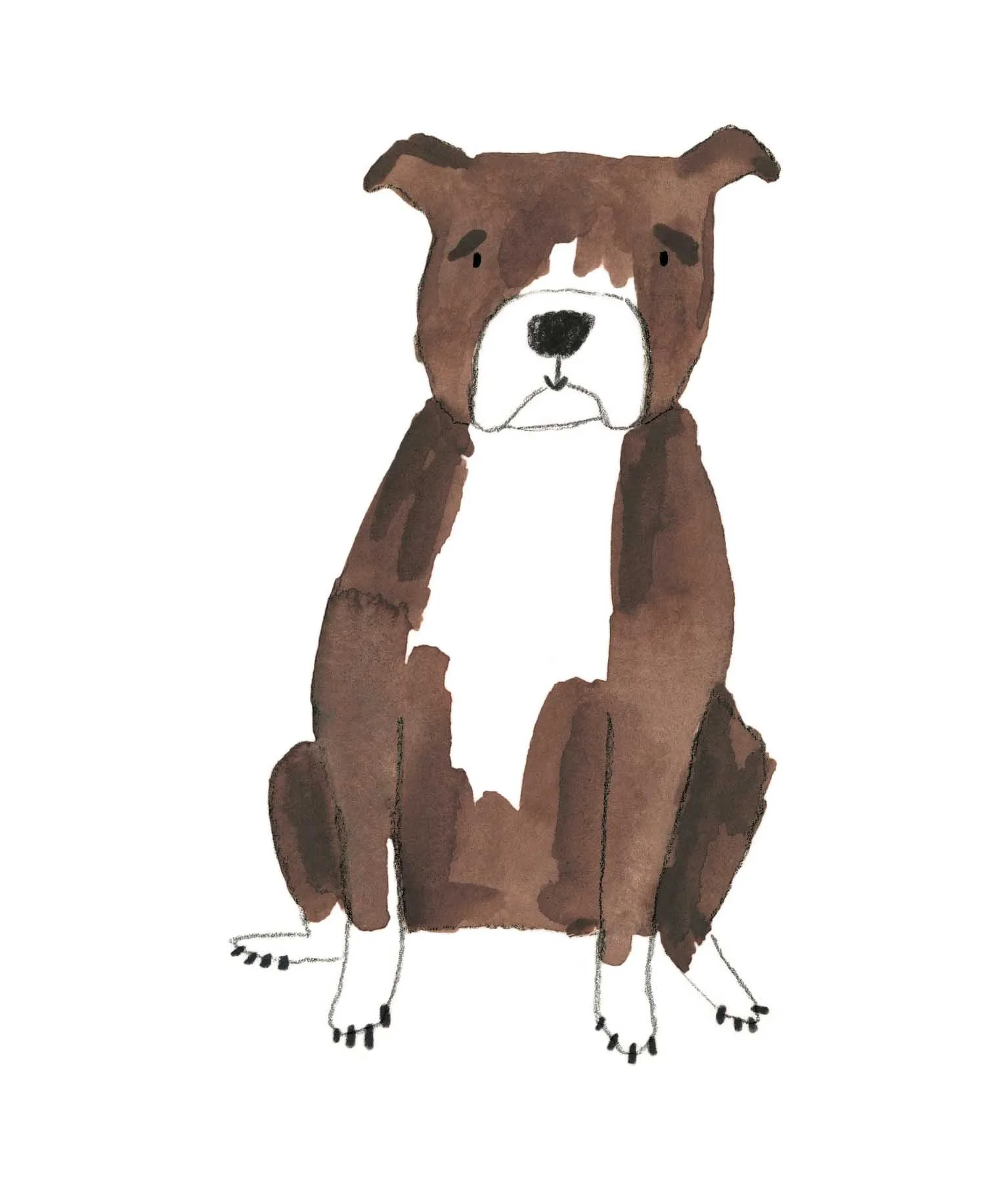 Staffy 3 online.jpg