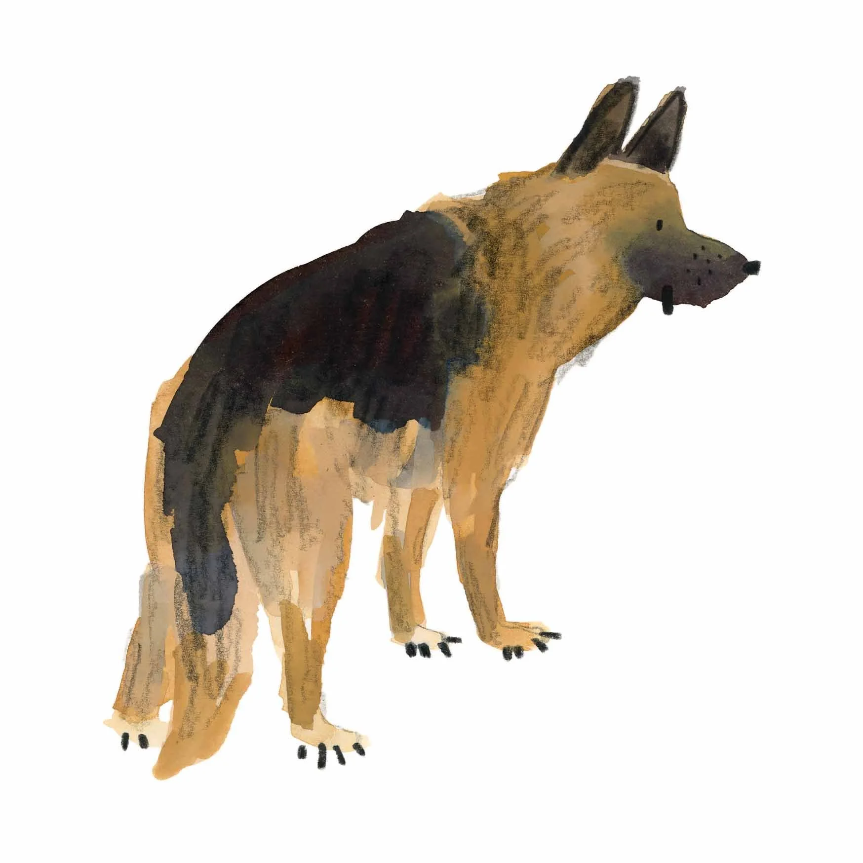 German Shepherd Print 1 online.jpg