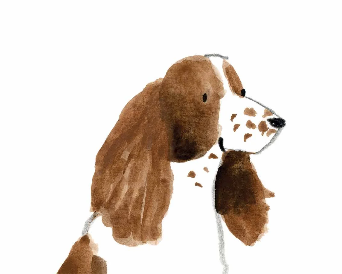 Springer spaniel original 3 online.jpg