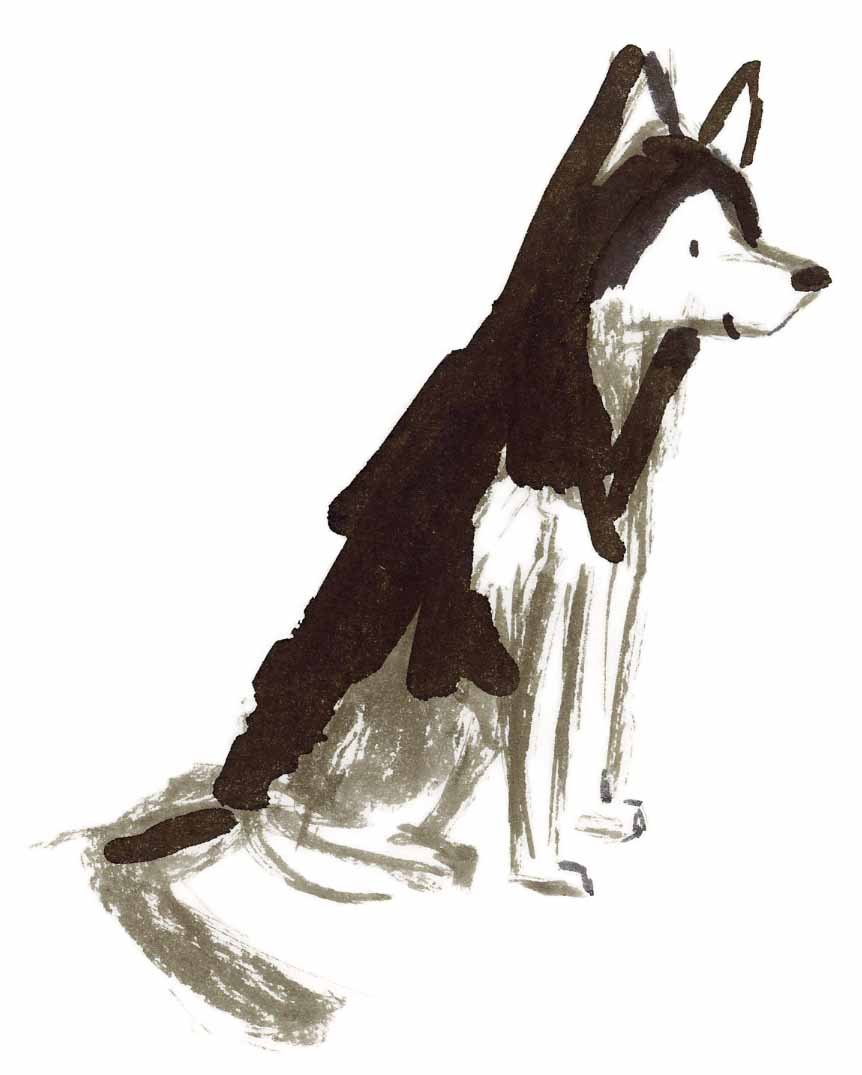 Husky 3 online.jpg