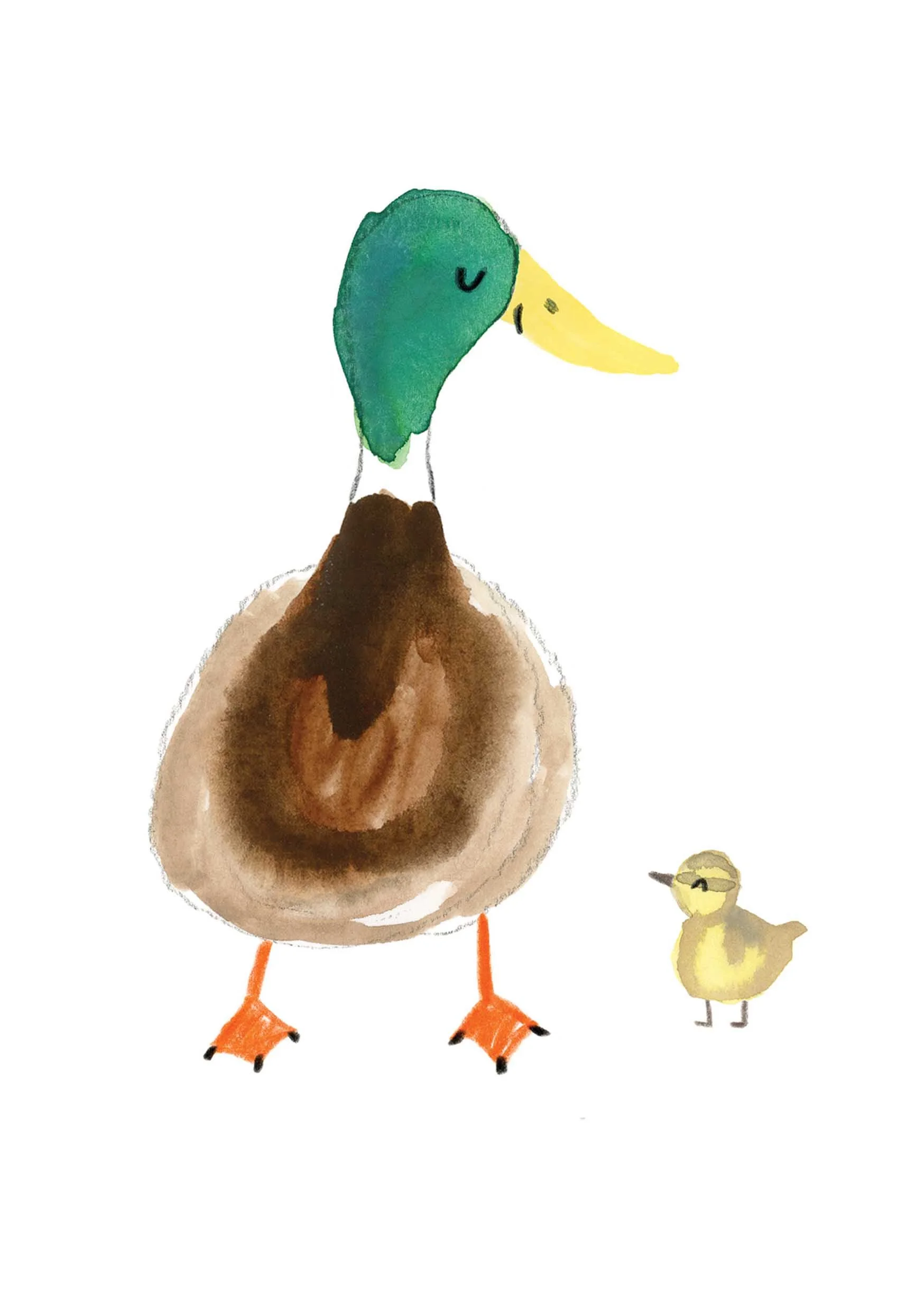 Father Mallard Print Online.jpg