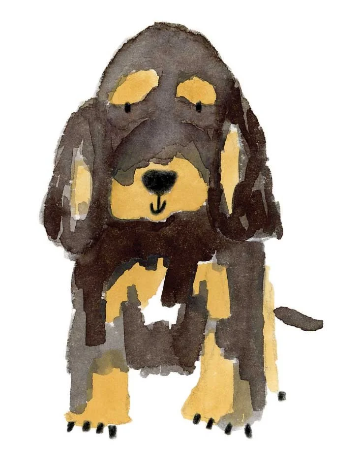 Black and Tan cocker pup original online.jpg