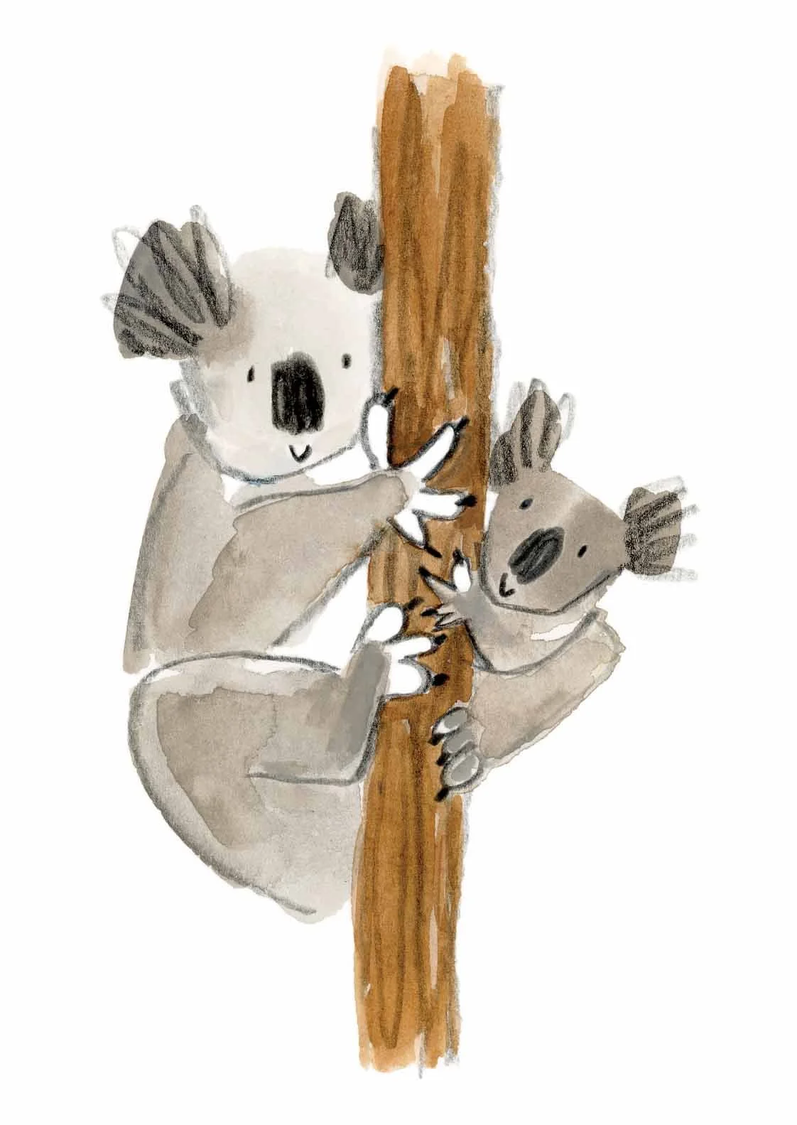 Koala mum 2 online.jpg