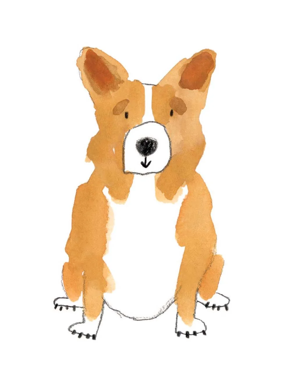 Corgi 1 online.jpg