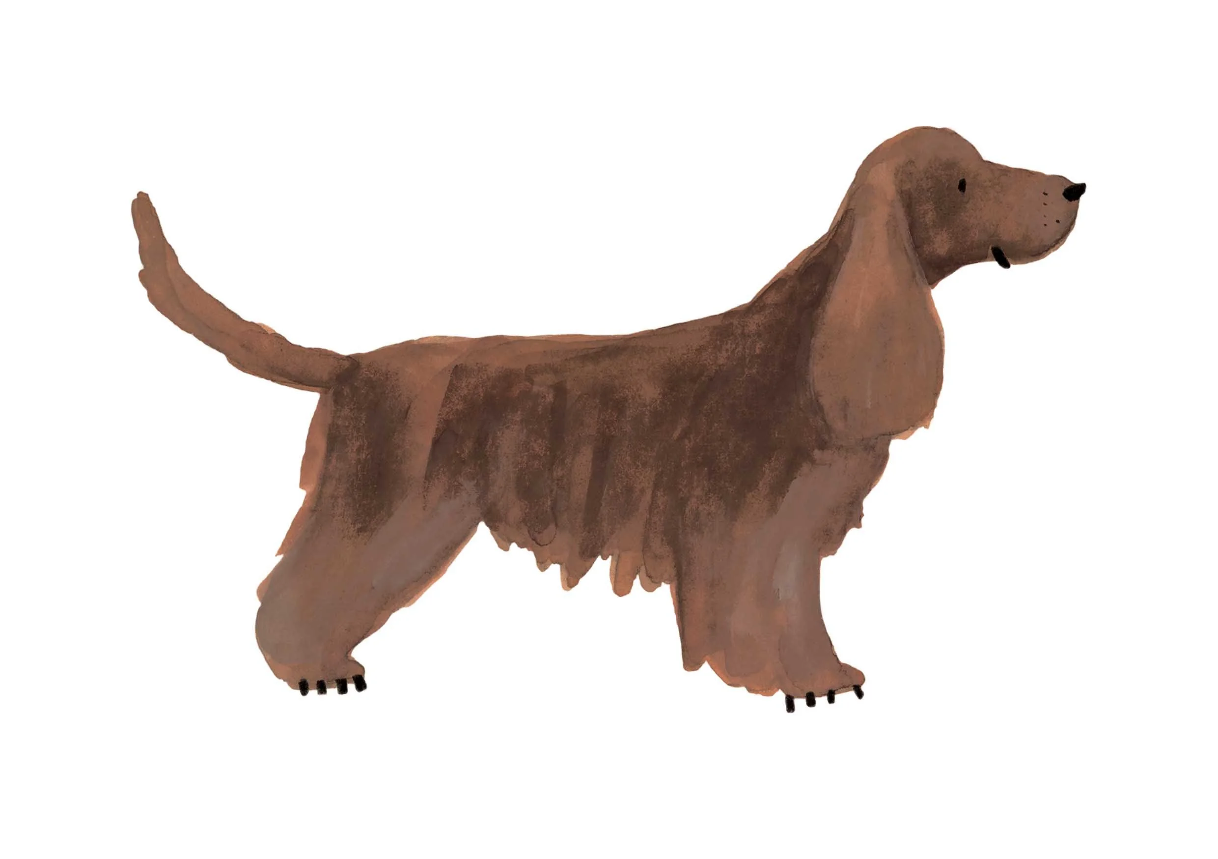 Brown Cocker print online.jpg