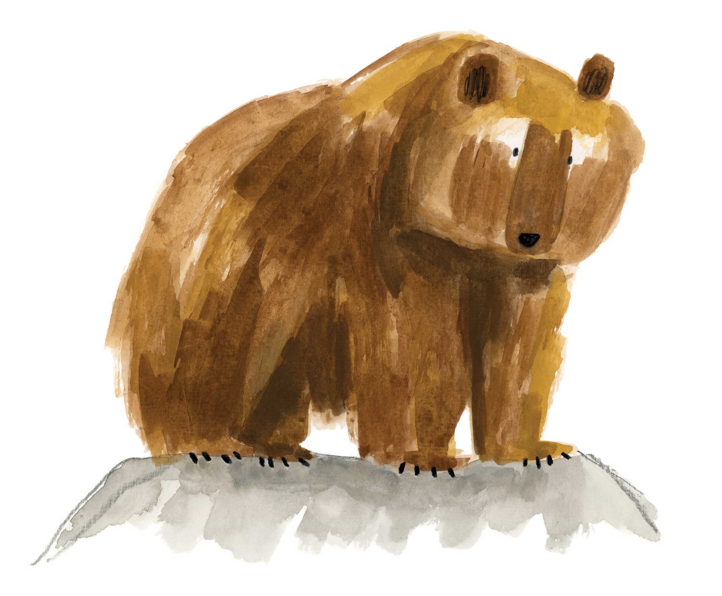 Grizzly Bear 2 online.jpg
