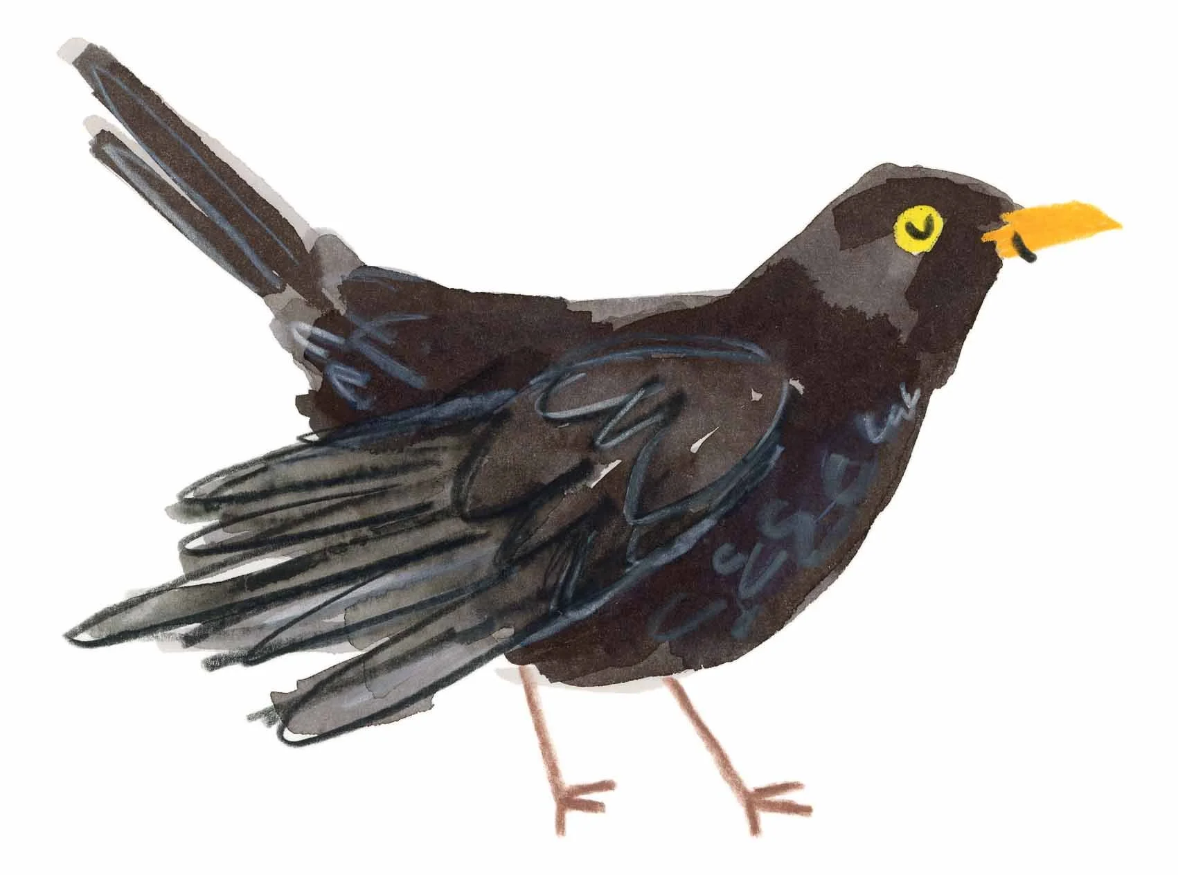 Blackbird Original 2 online.jpg