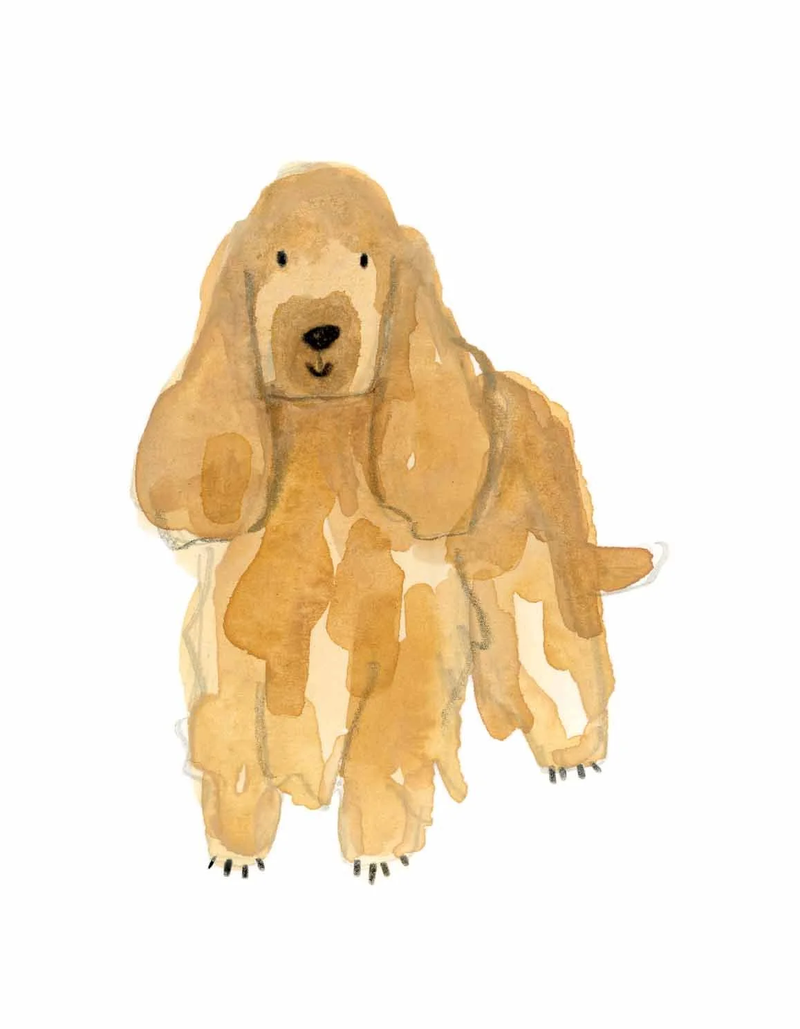 Golden Cocker 2 online.jpg