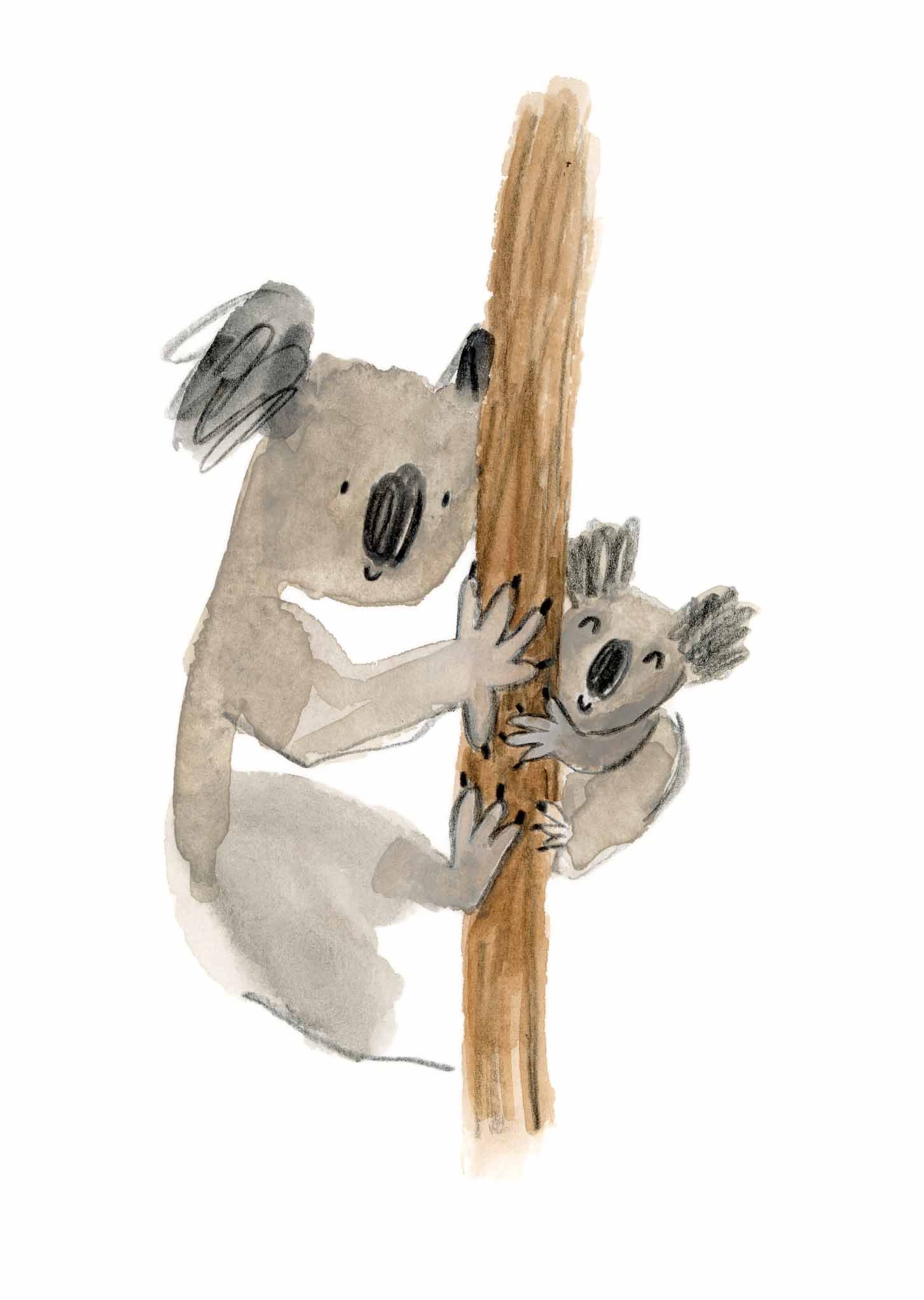 Koala mum 1 online.jpg