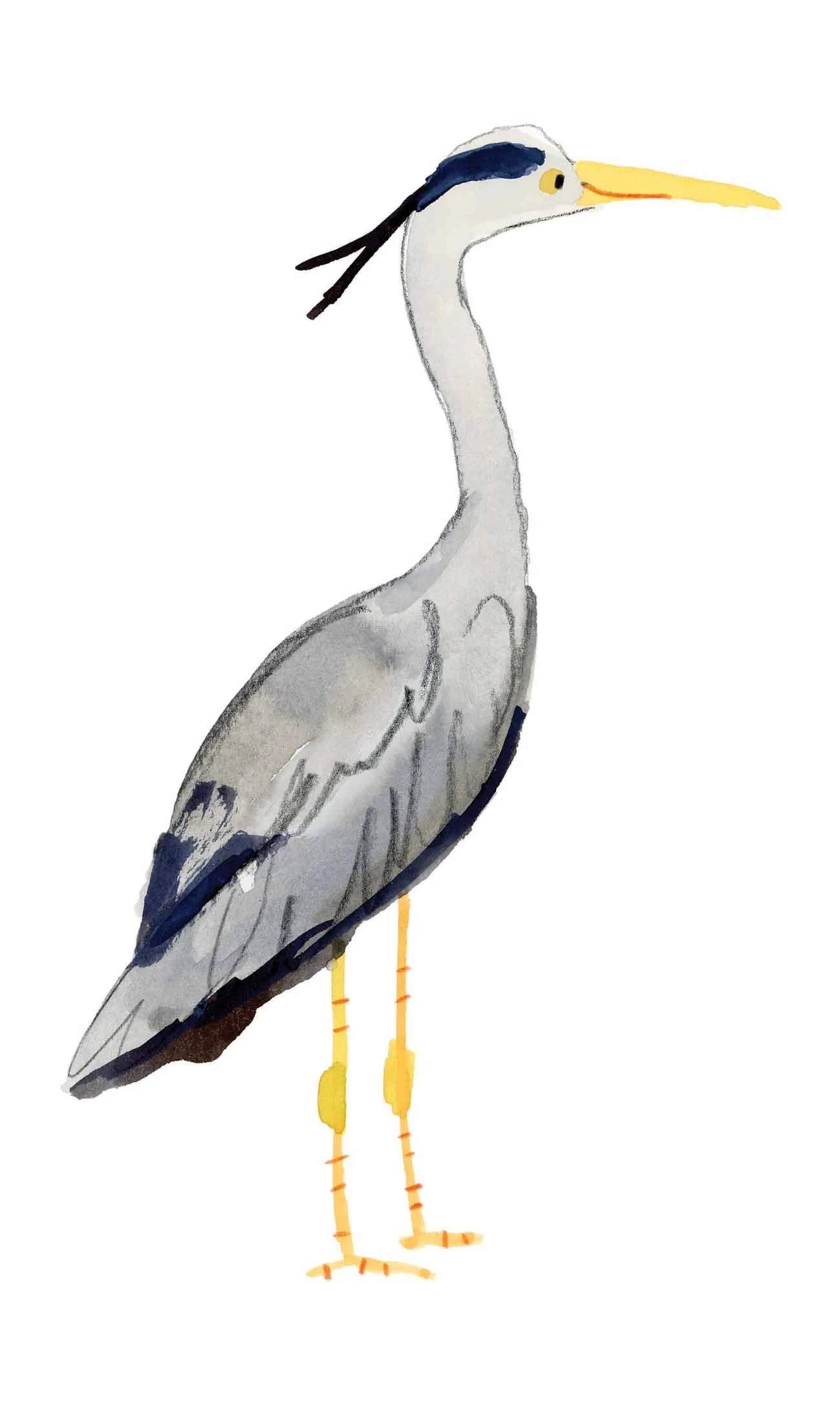 Heron 2 onlline.jpg