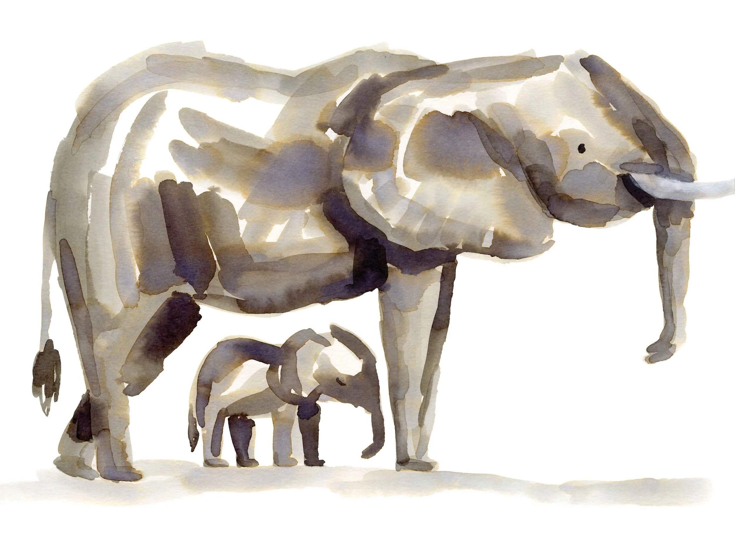 Mother elephant 1 online.jpg
